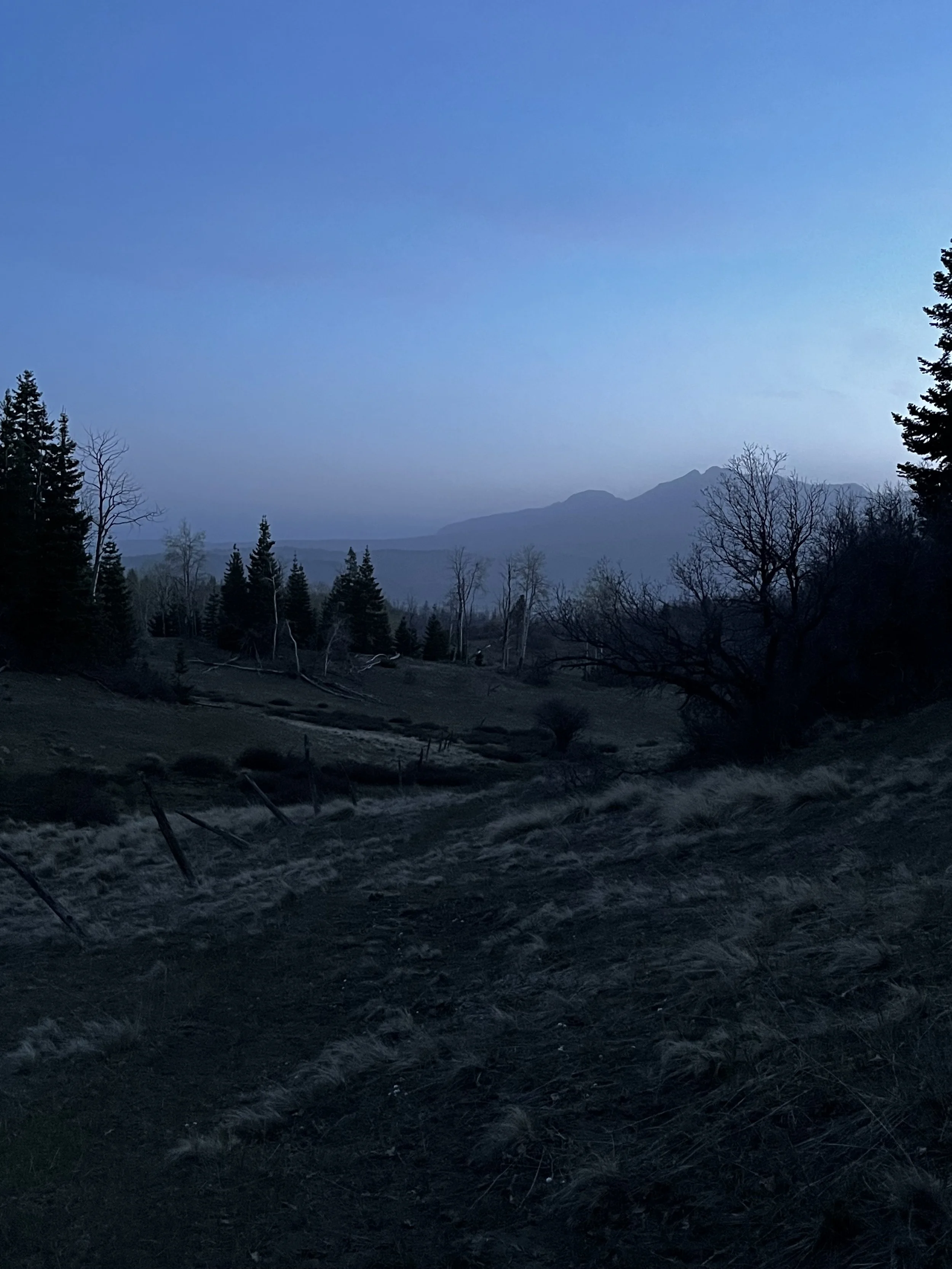 Sunset over a mountain range with a forest in the foreground.