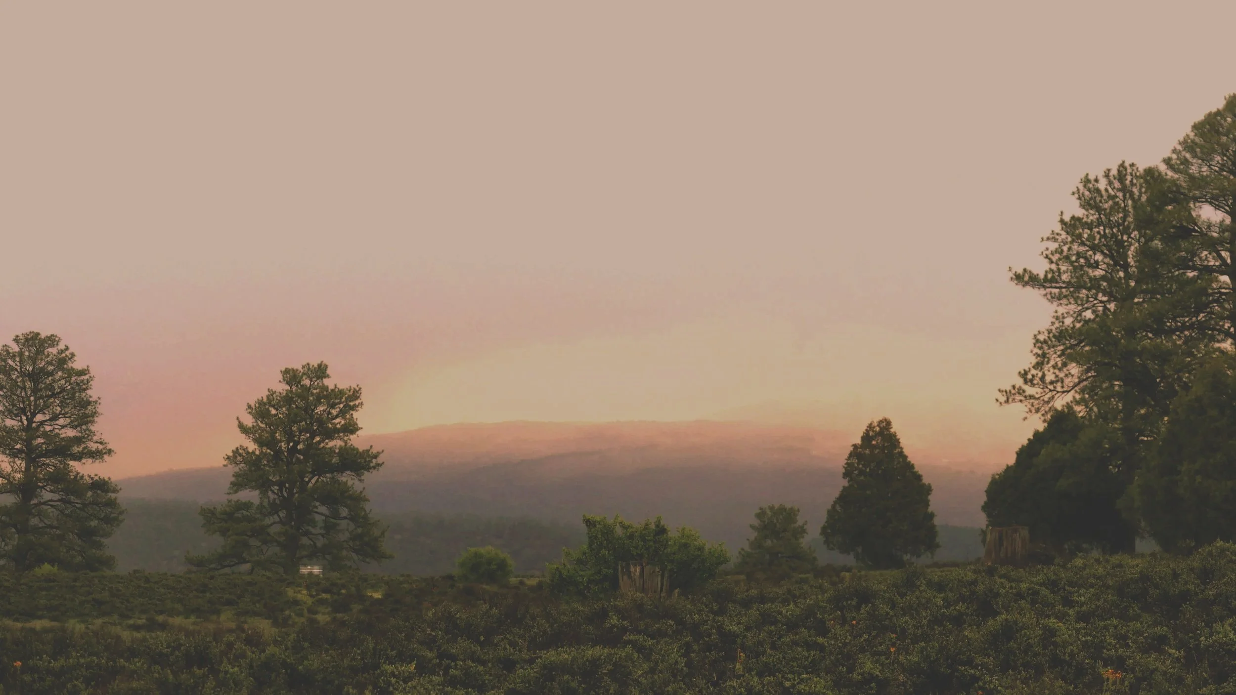 A landscape scene with trees in the foreground and a mountain in the background, under a pinkish-orange sky at sunset or sunrise.