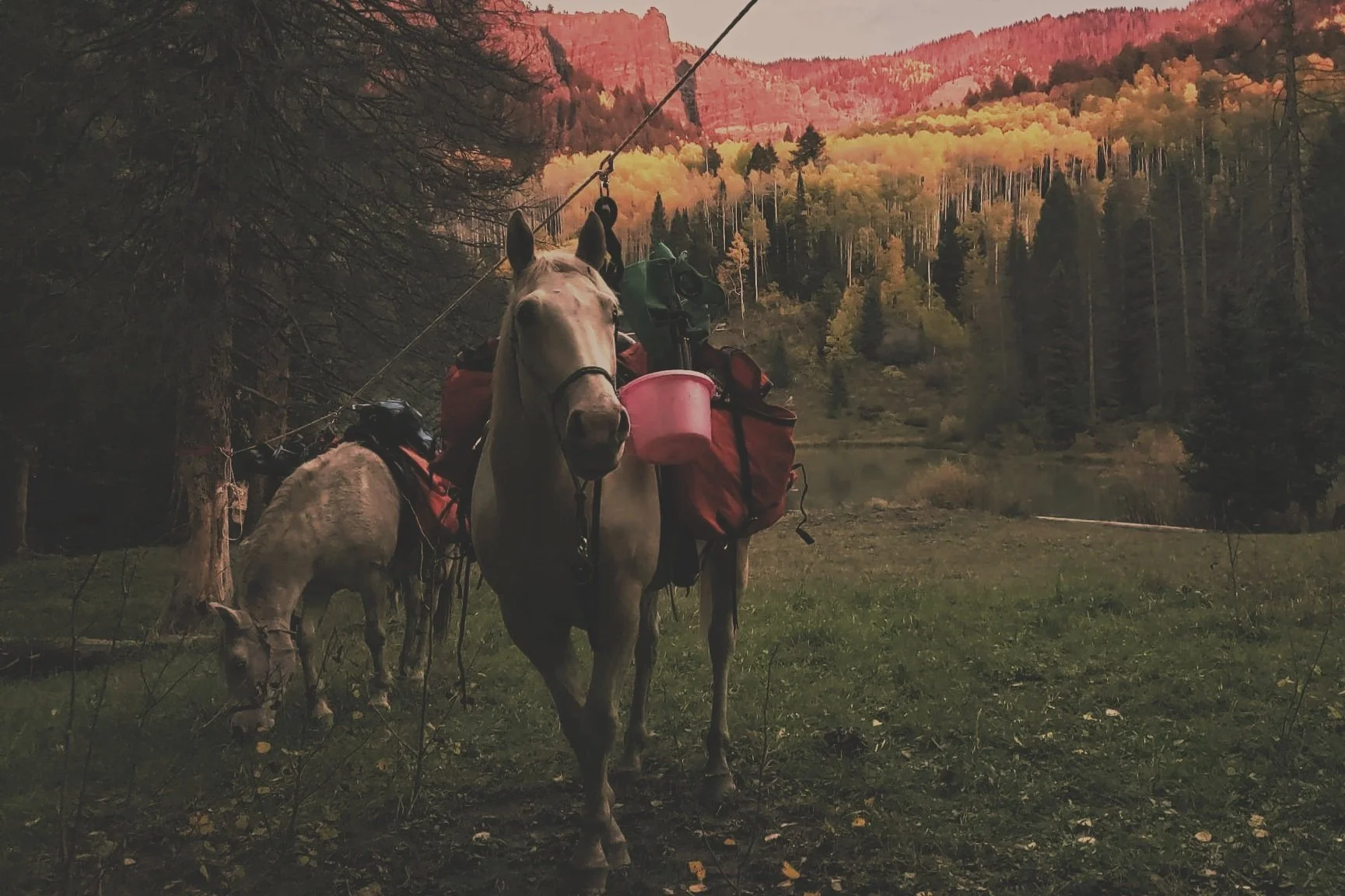 The Backcountry Camp (July 23-26) Deposit