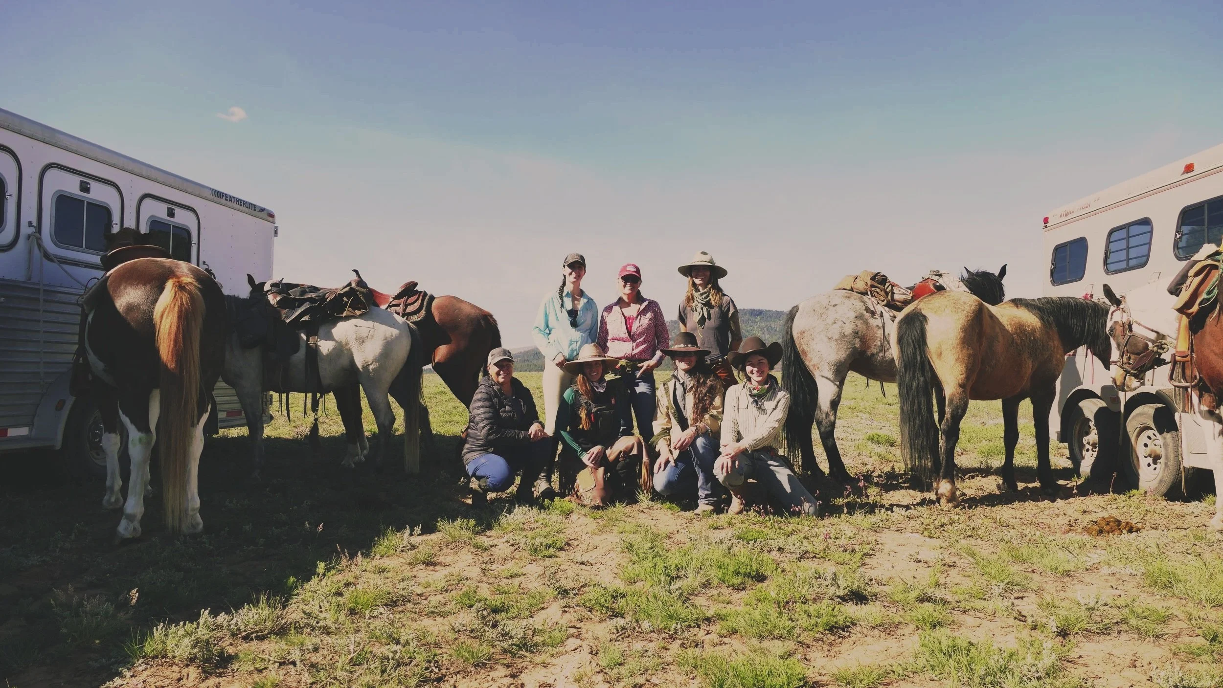 Group of people with horses in a grass field, two horse trailers in the background, some people are squatting, some standing, all wearing cowboy hats and outdoor clothing.