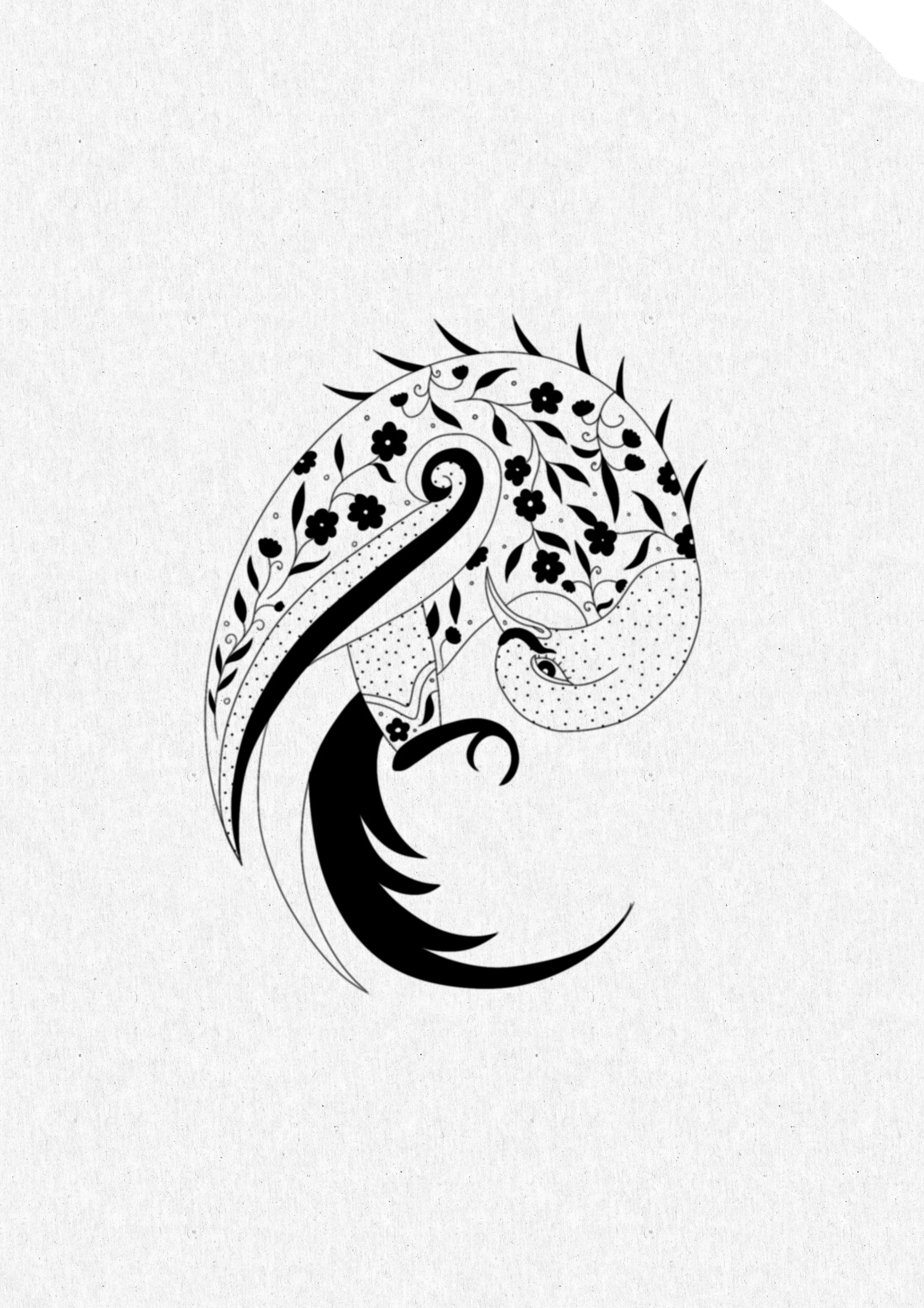 ILLUSTRATIONS