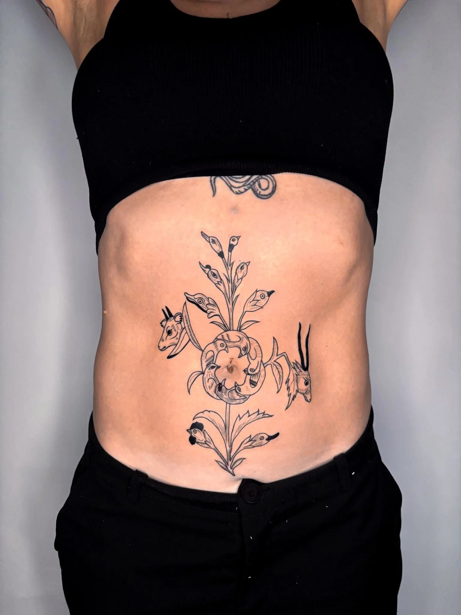 WAKWAK stomach.jpg