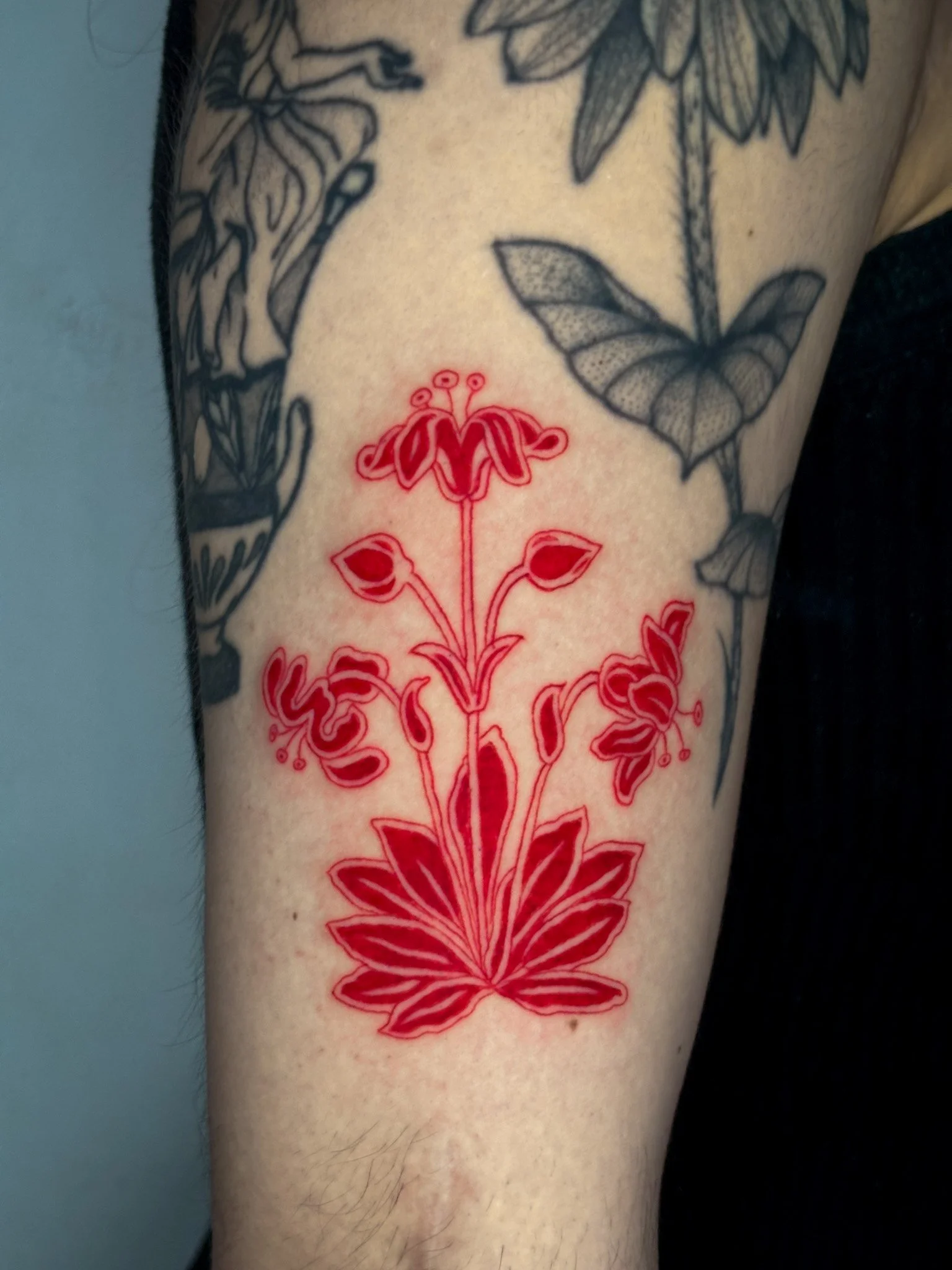 Red lotus.jpg
