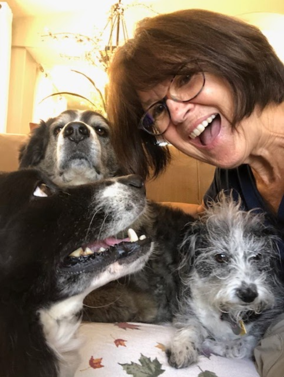 A woman with glasses taking a selfie with four dogs on a couch, smiling and looking at the camera.