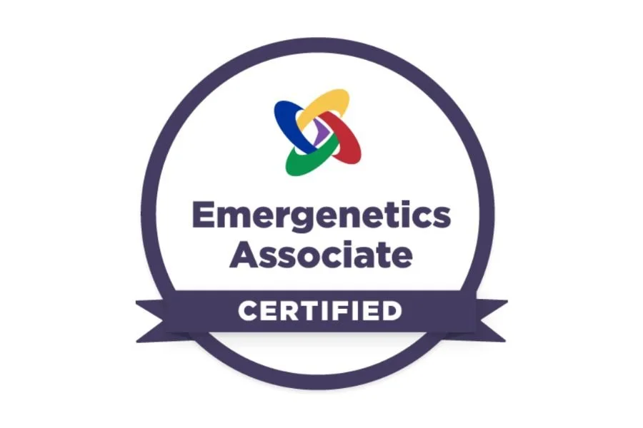 Emergenetics Meeting of the Minds Workshop
