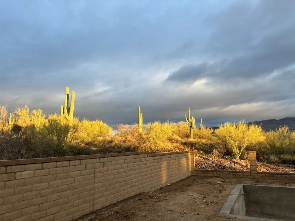 Desert landscape with saguaro cacti, yellow-green bushes, and a stone wall under a cloudy sky at sunset.