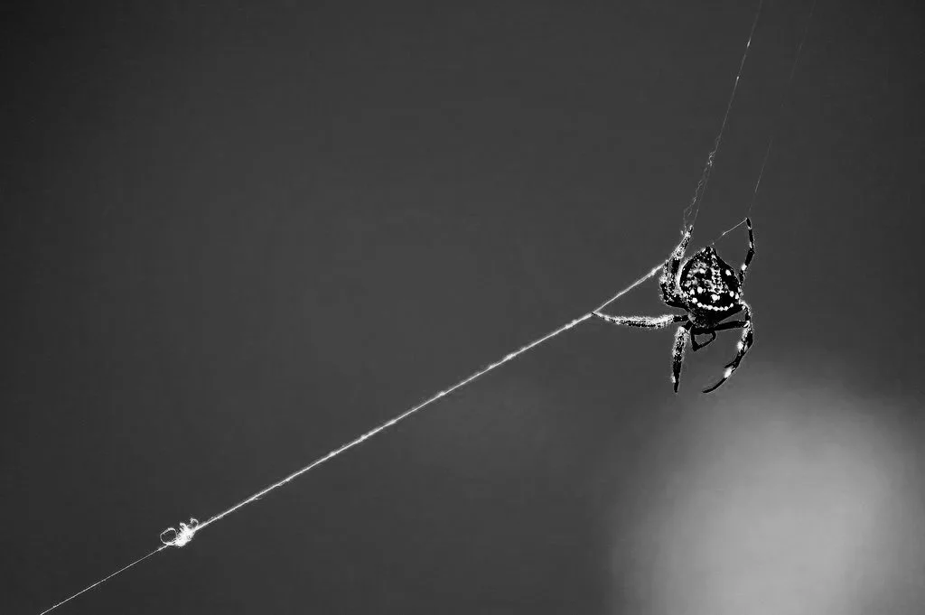The First Thread