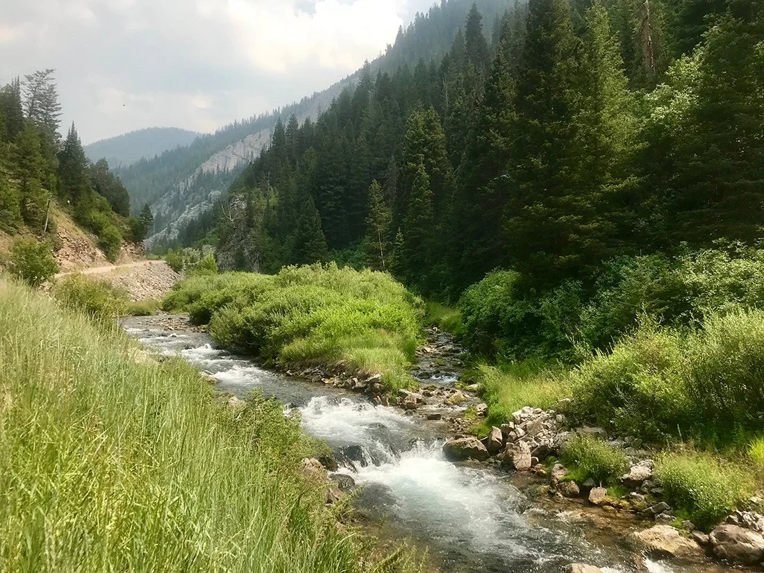 swift creek canyon, afton wy 2.jpg