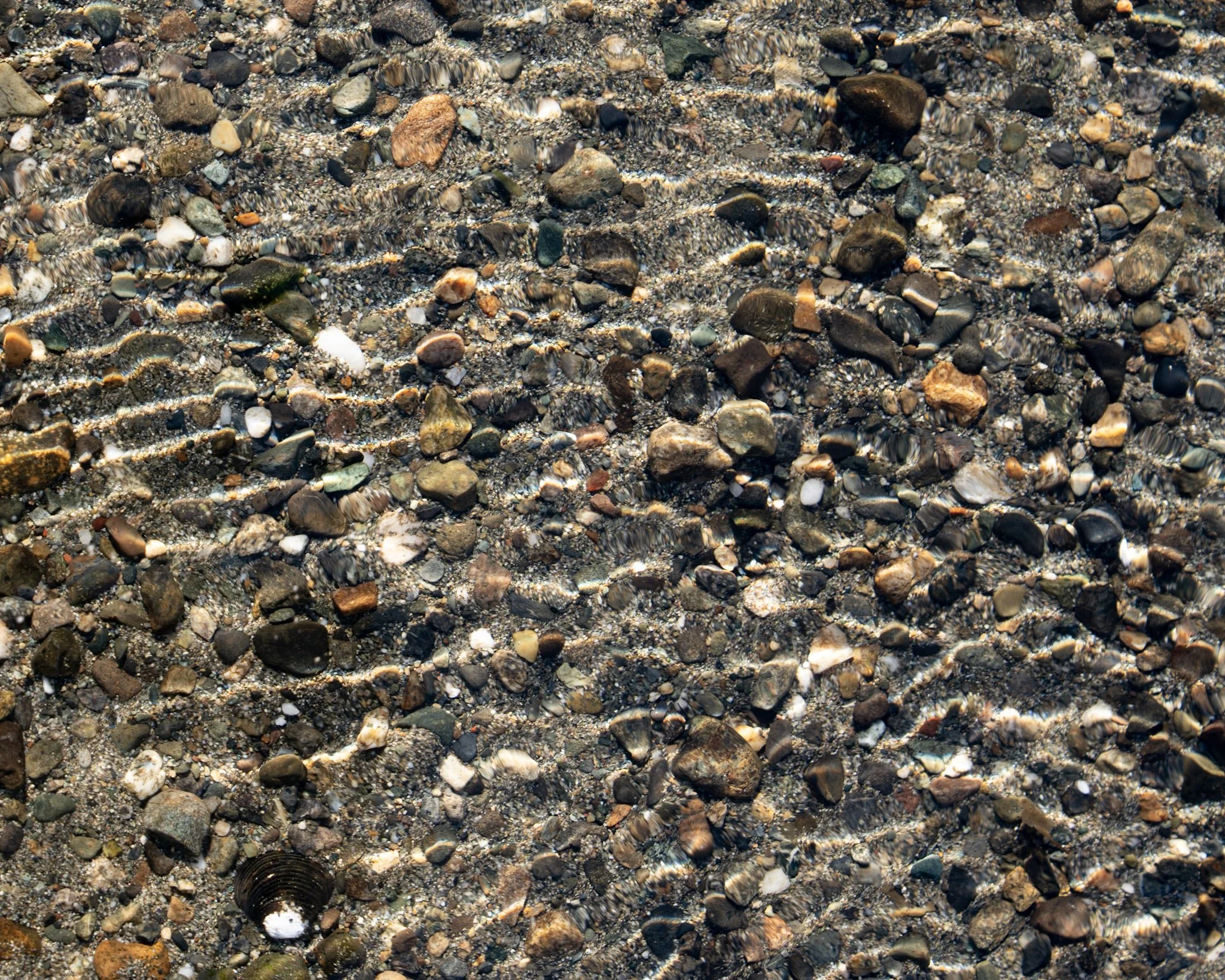 ripples water.jpg