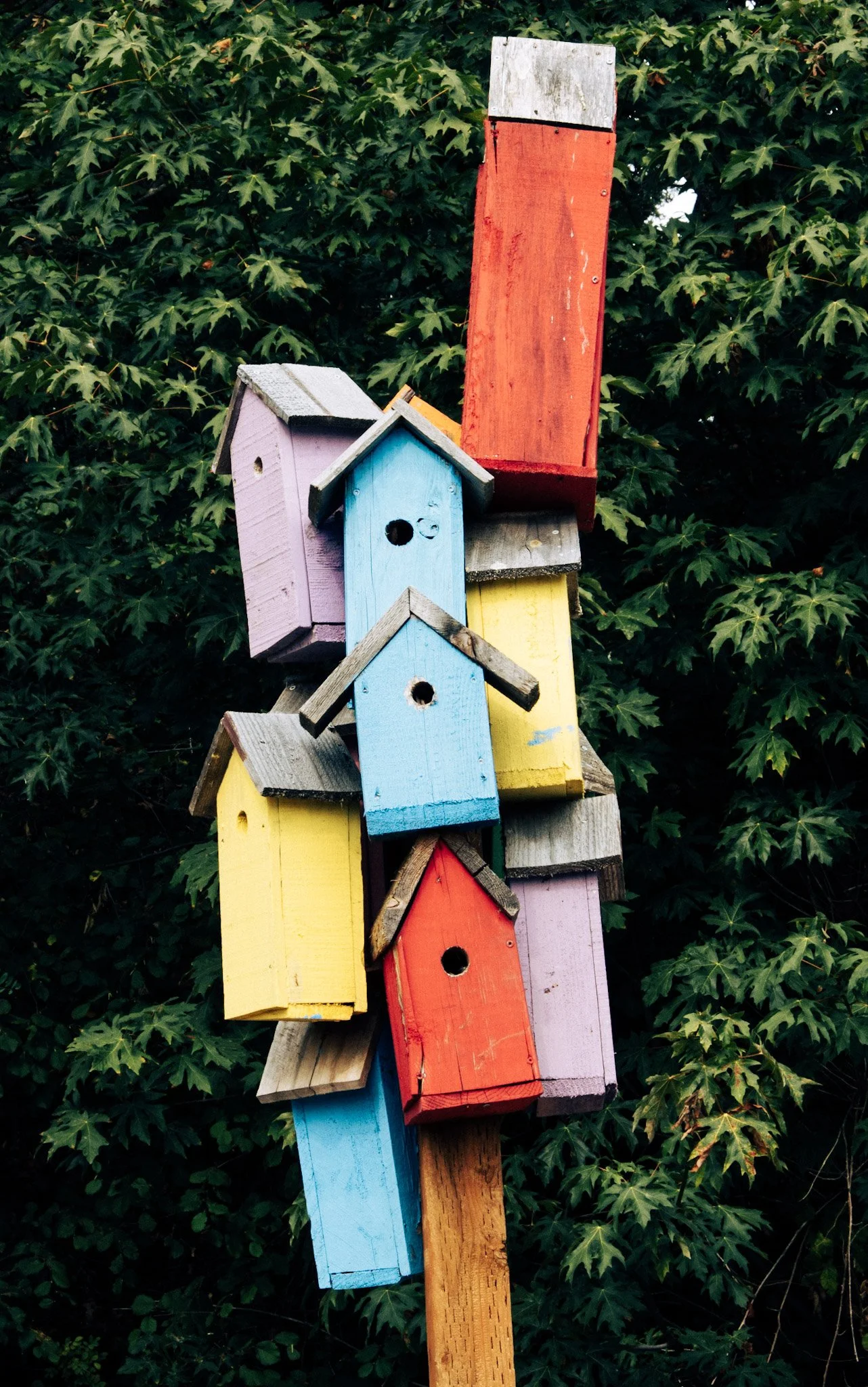 birdhouses.jpg