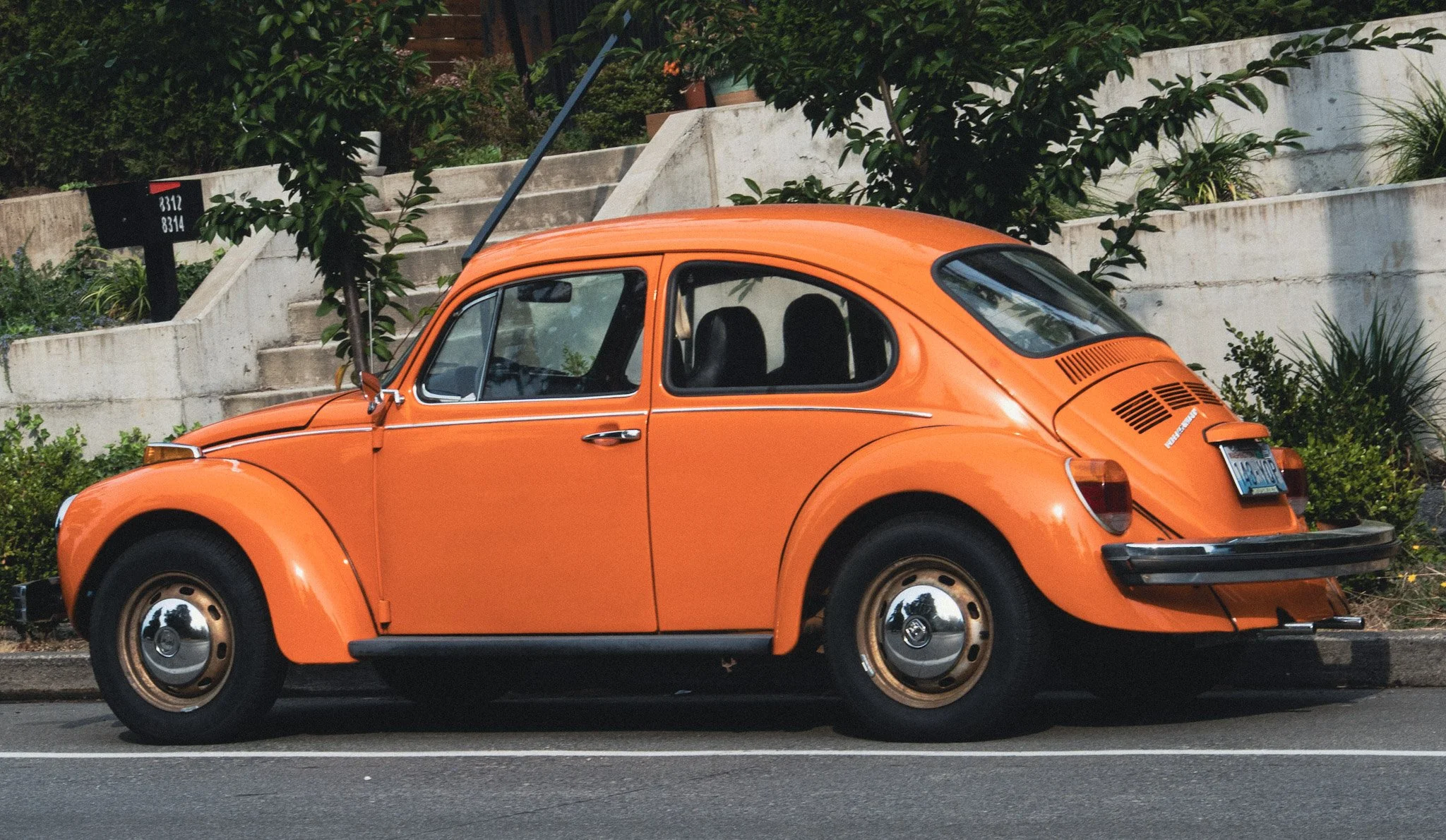 orange bug.jpg