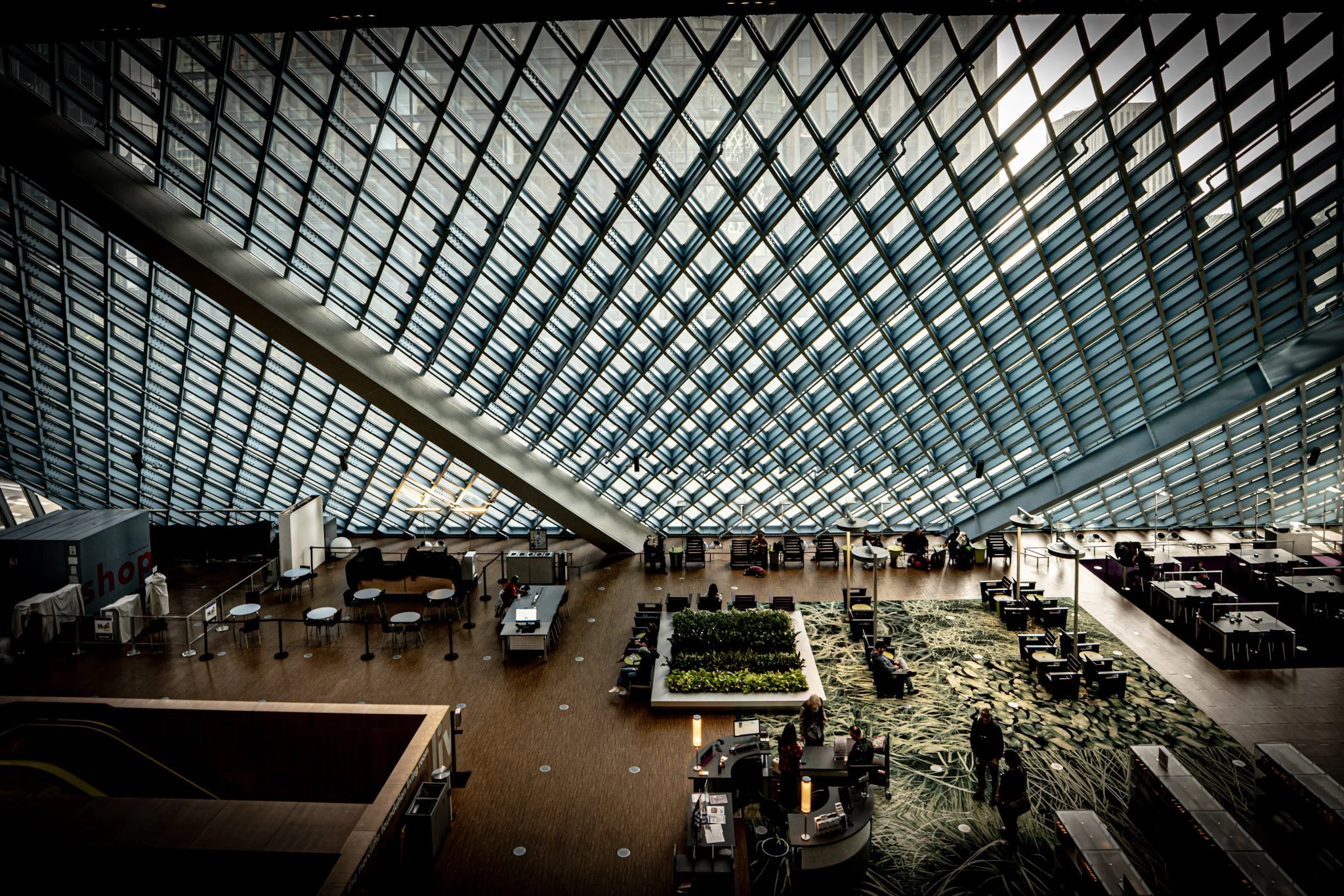 whole library.jpg