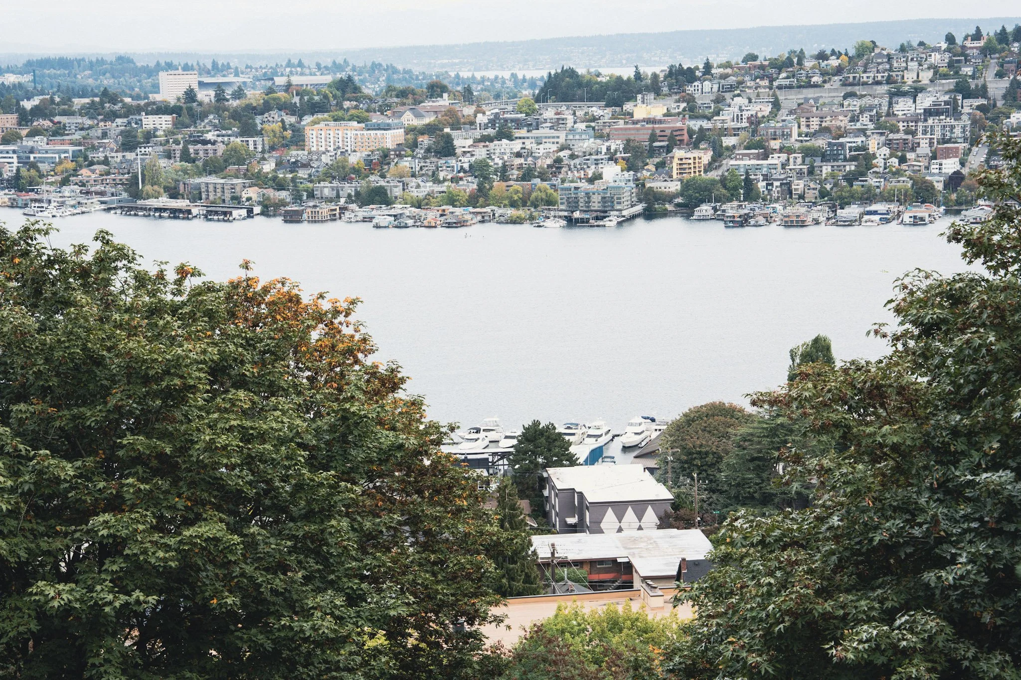 seattle.jpg