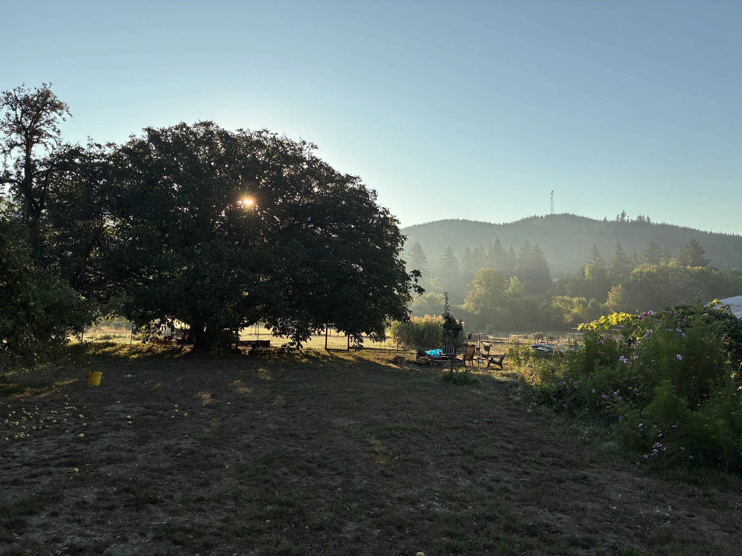 The Good Farm