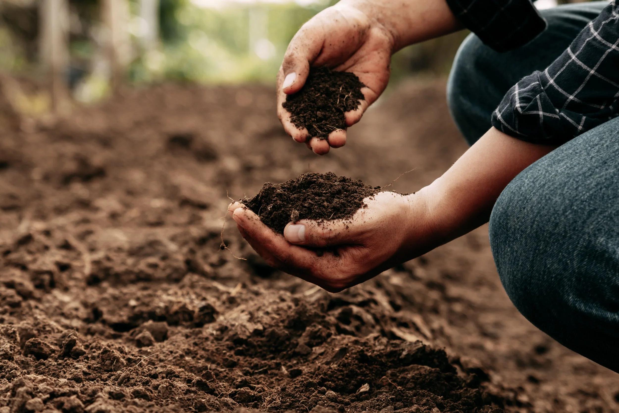 Soil Recovery