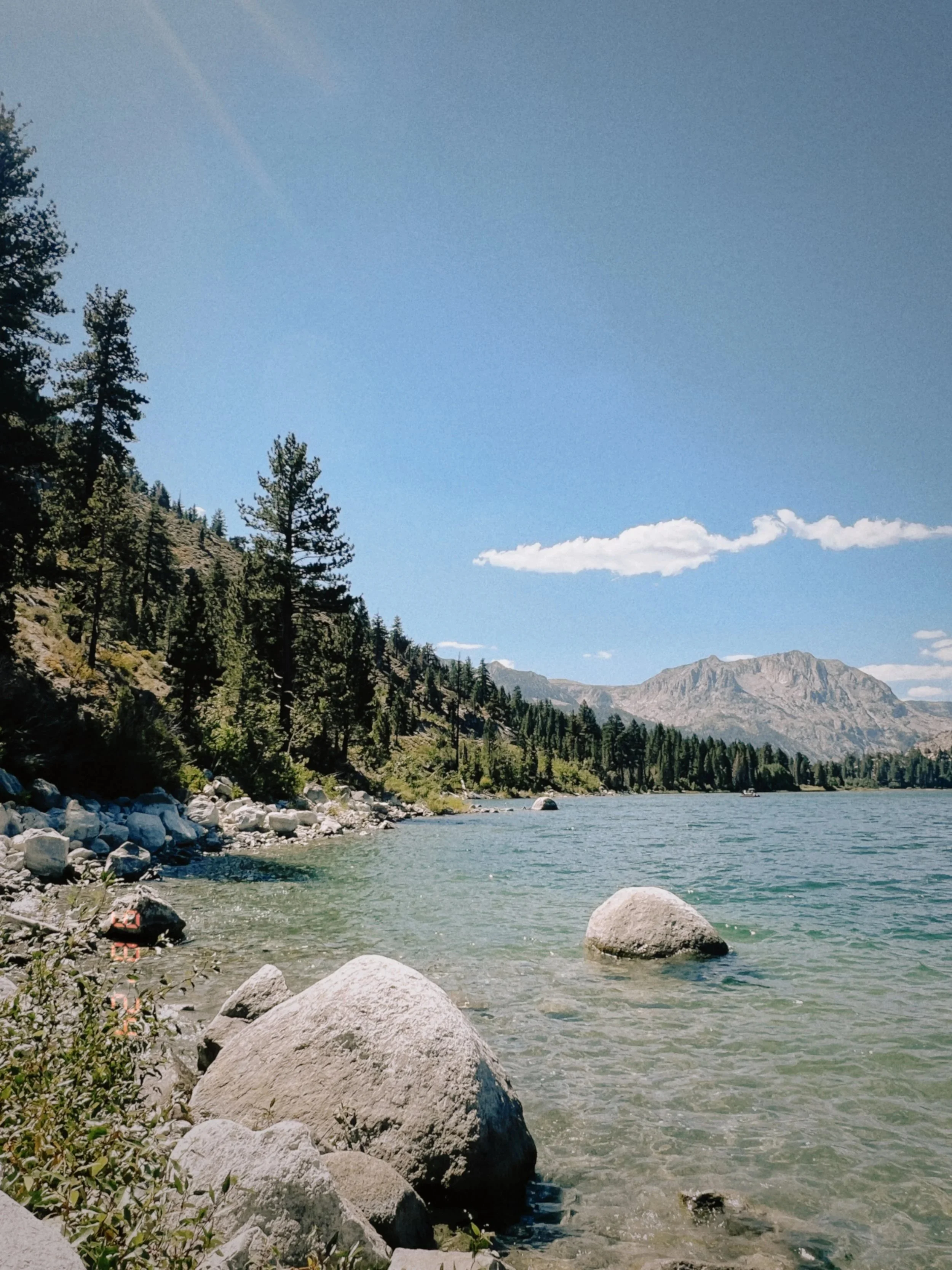 Summer in North Shore Lake Tahoe With Kids