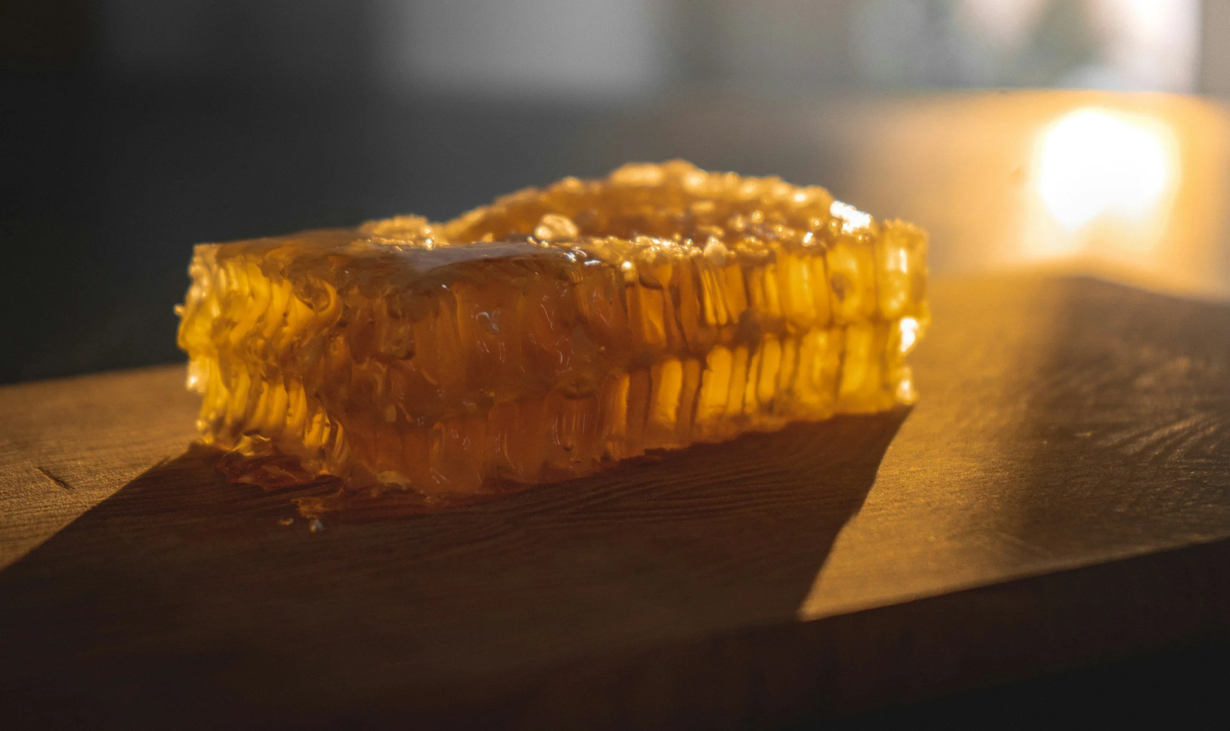 Close-up of a honeycomb with honey oozing from it, illuminated with warm light.