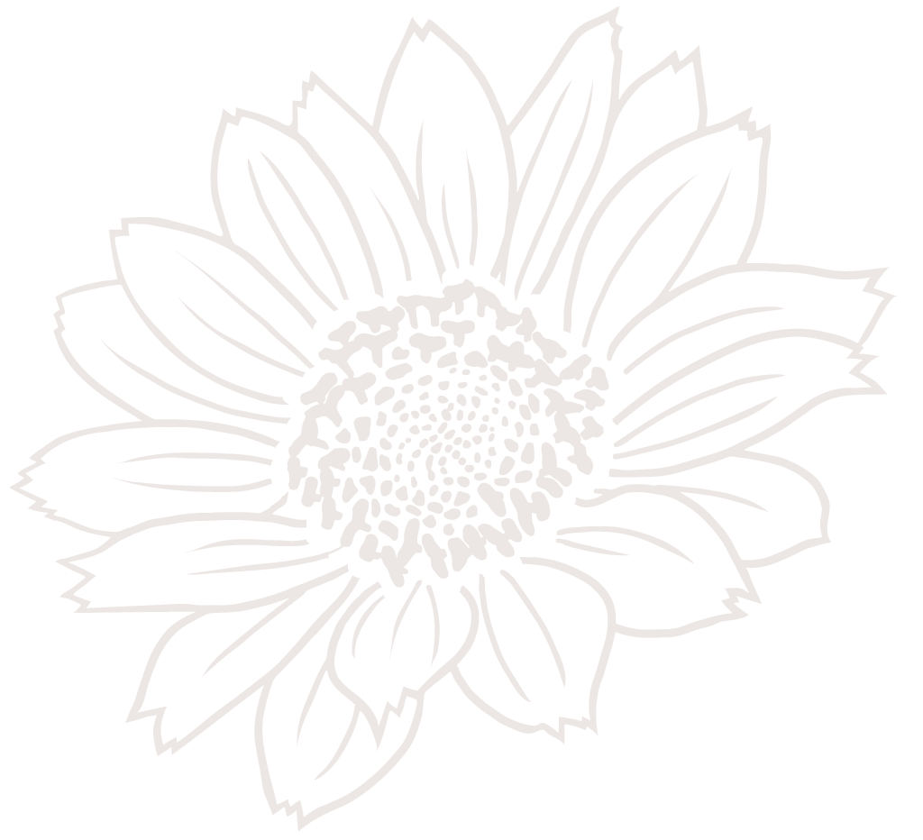 Line art illustration of a sunflower with detailed petals and center on a black background.