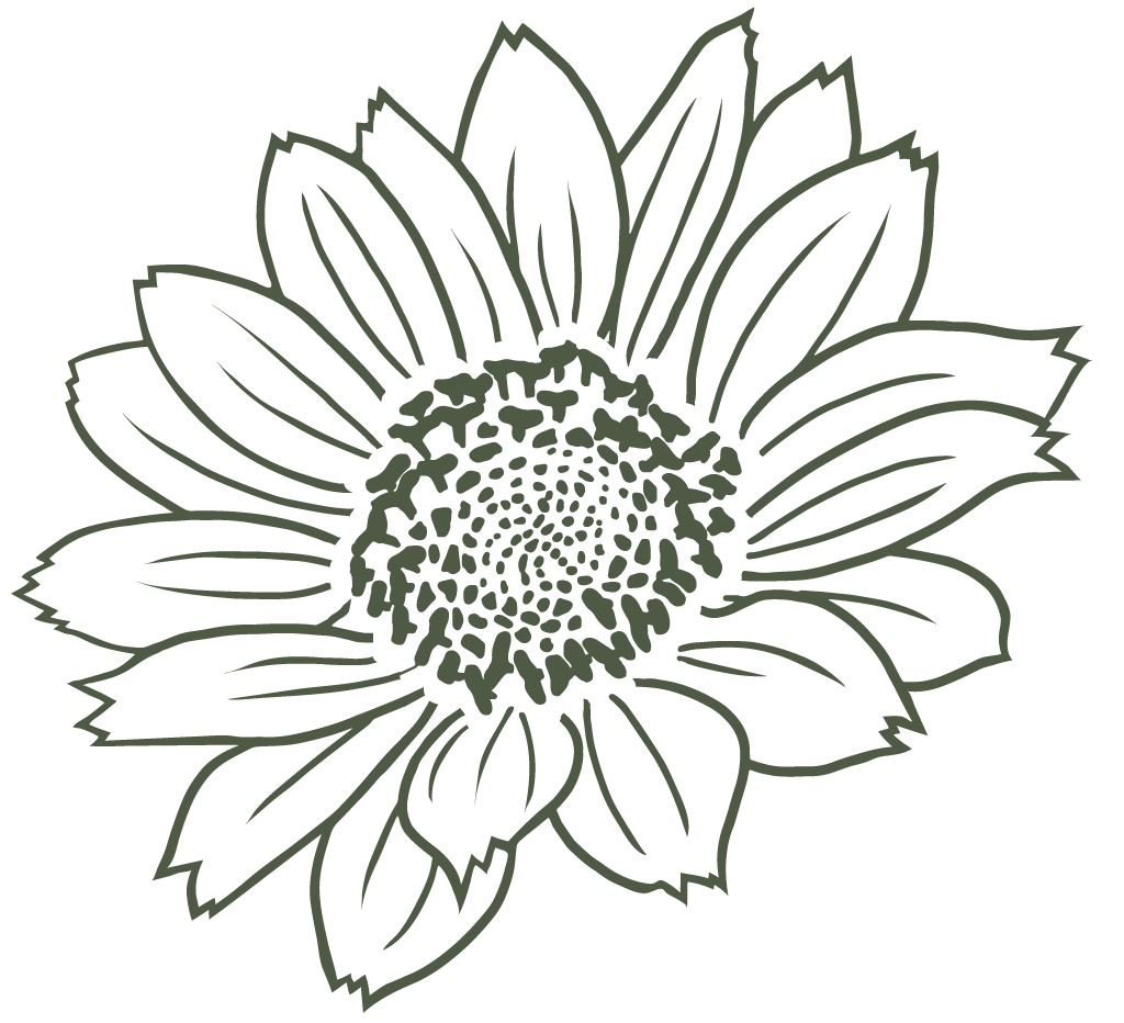 Line drawing of a sunflower with large petals and a detailed center.