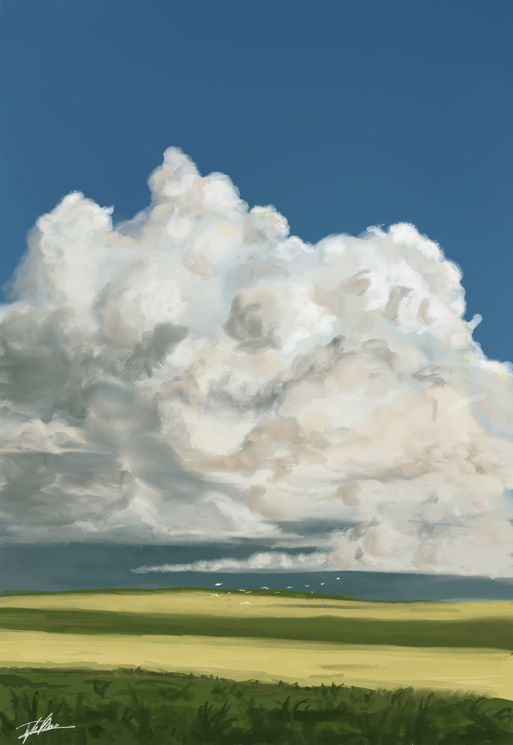 IMG_1318.png