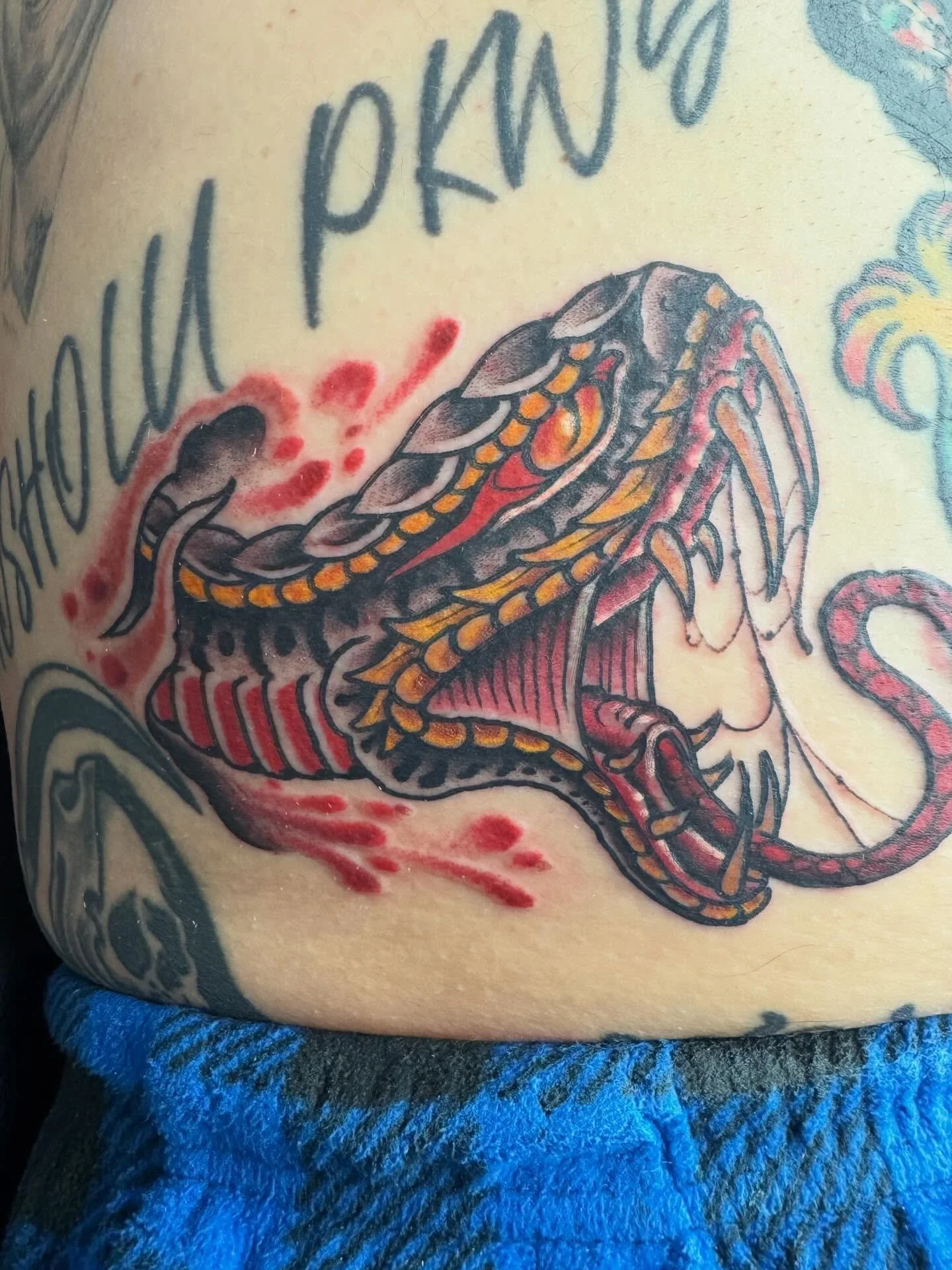Thanks @johnnypbmsncom #traditionaltattoo #snaketattoo