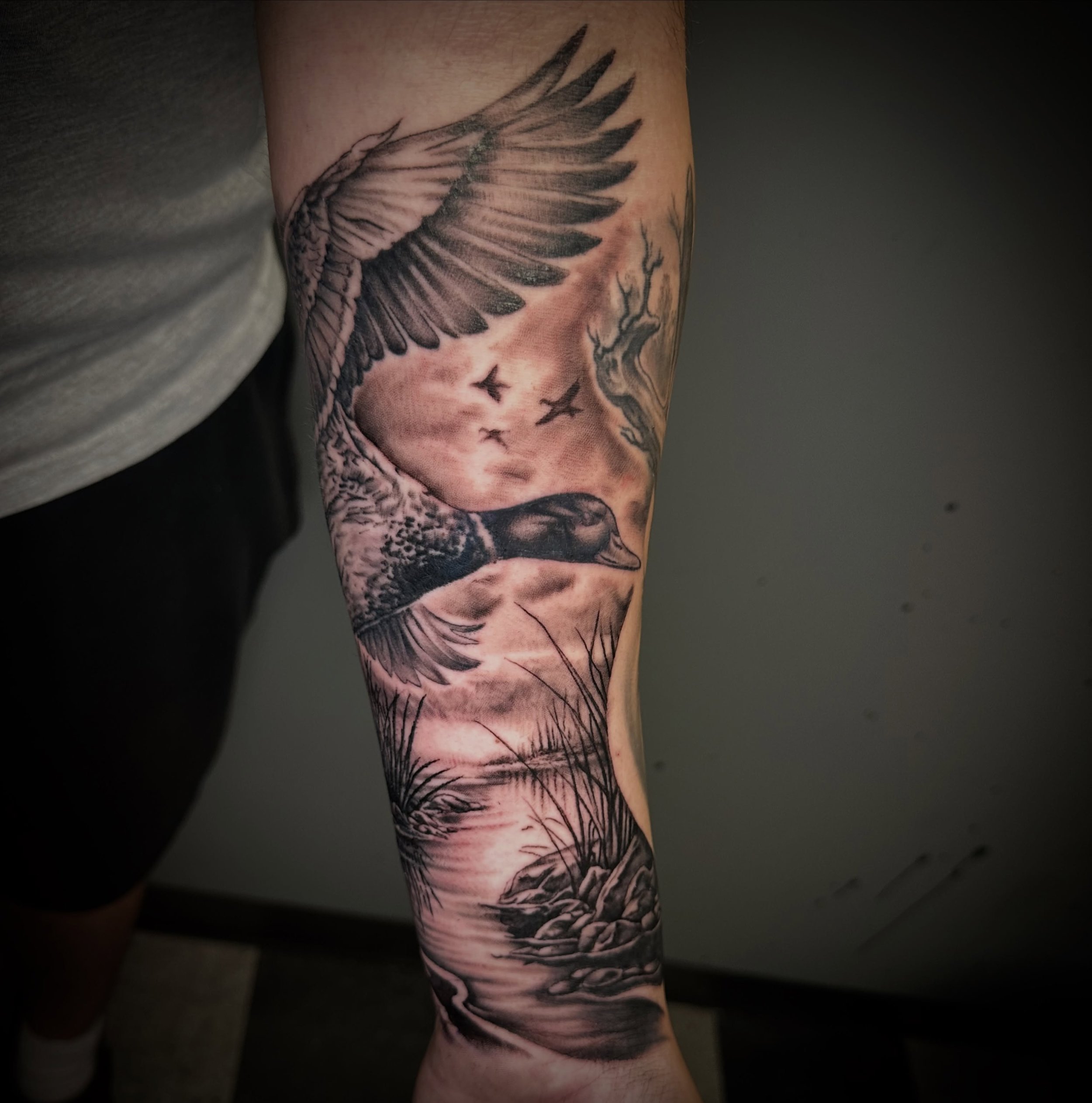 Mostly healed duck for Strummer. Thanks bro. Done @pinstruck_tattoos