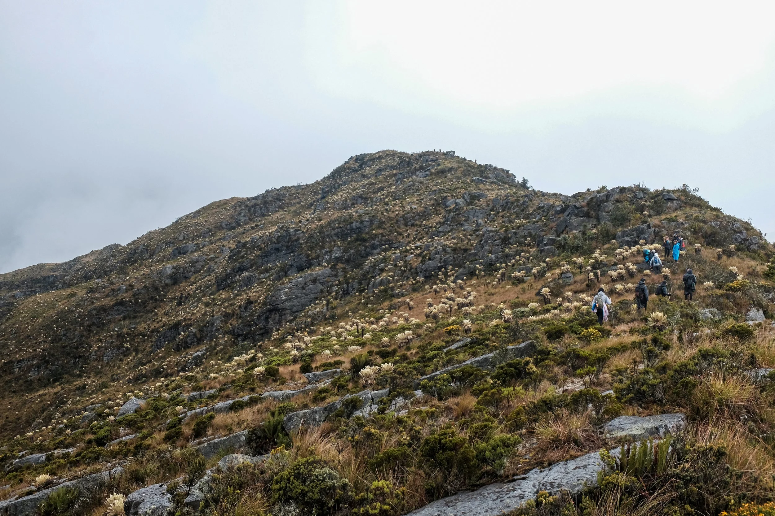 Boyaca 3.jpg