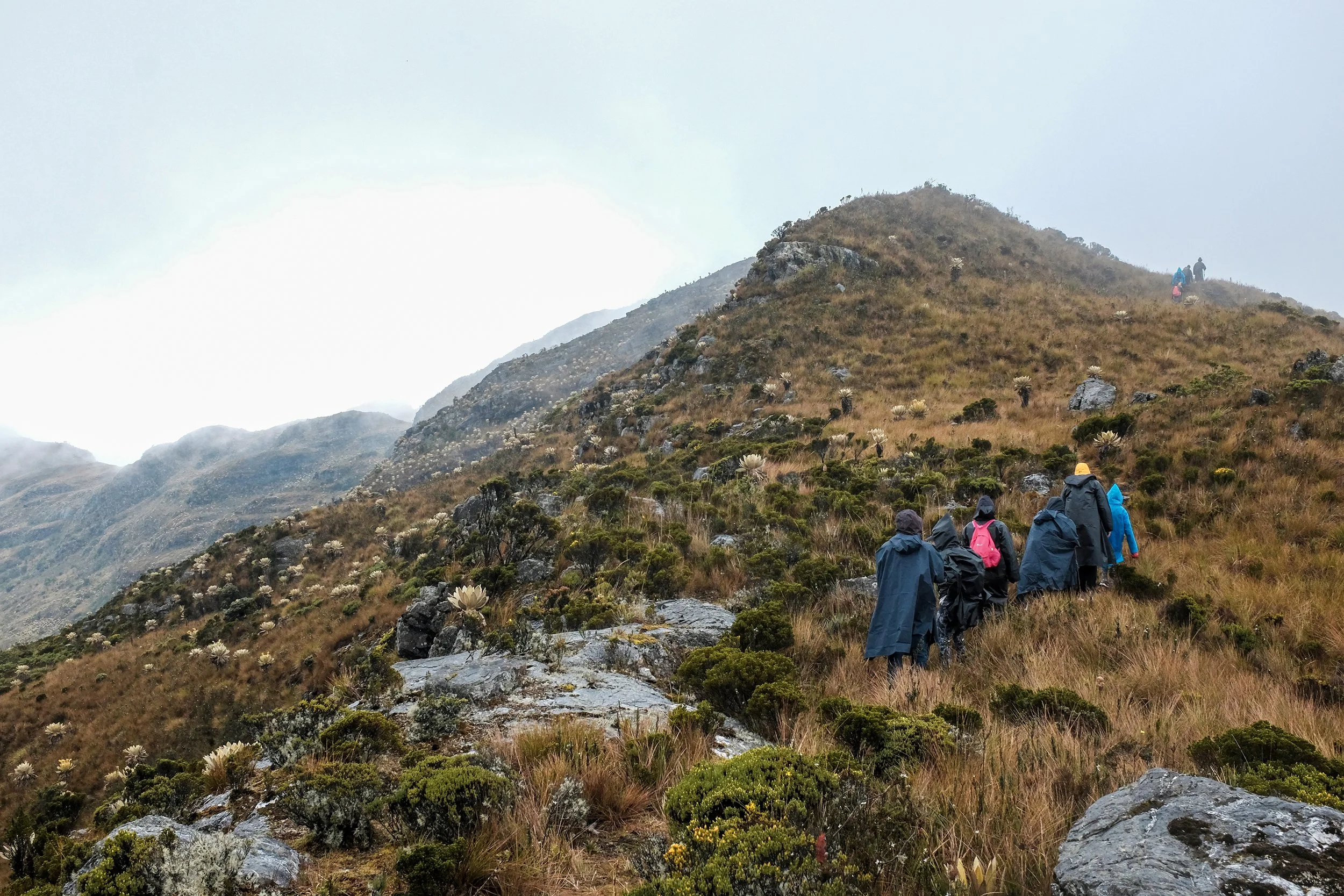 Boyaca 1.jpg