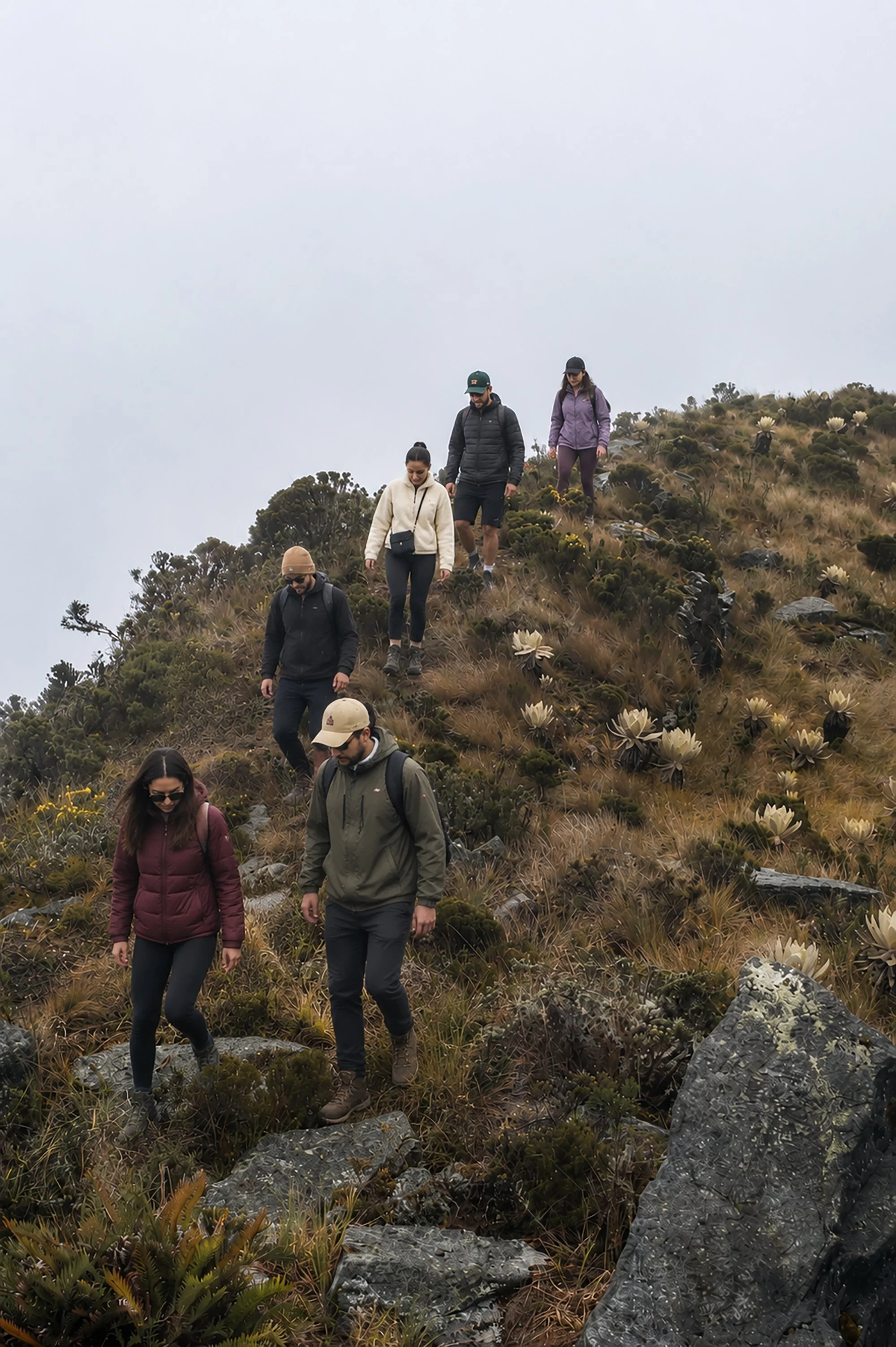 Boyaca 4.jpg