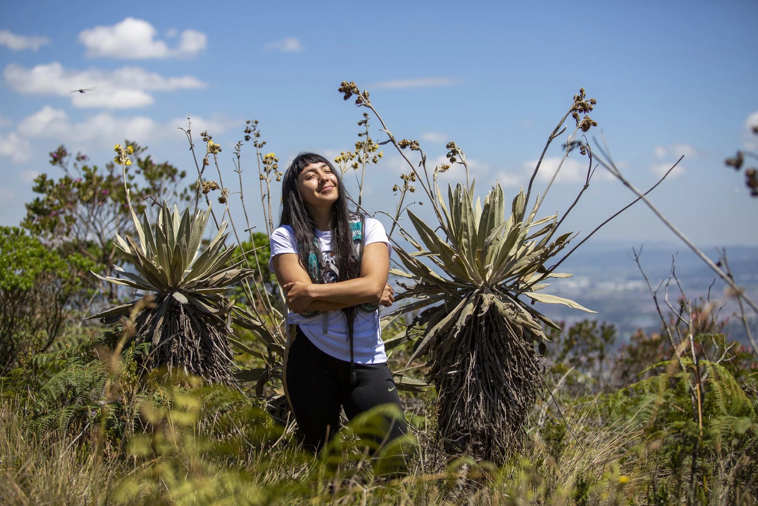 Las Moyas cumbre 4.jpg
