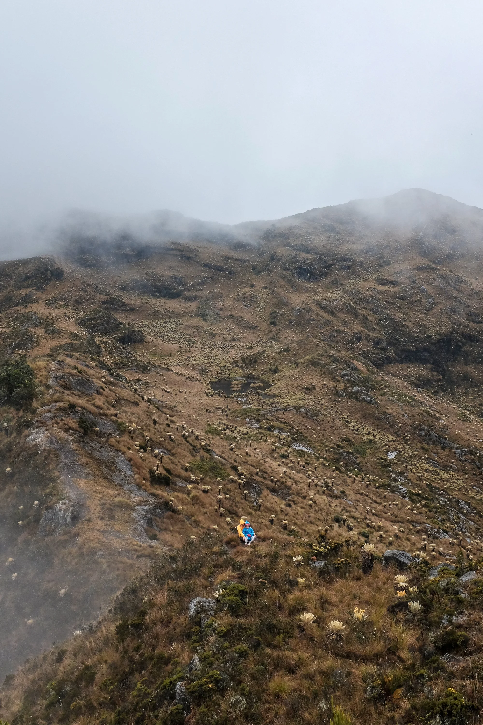 Boyaca 2.jpg
