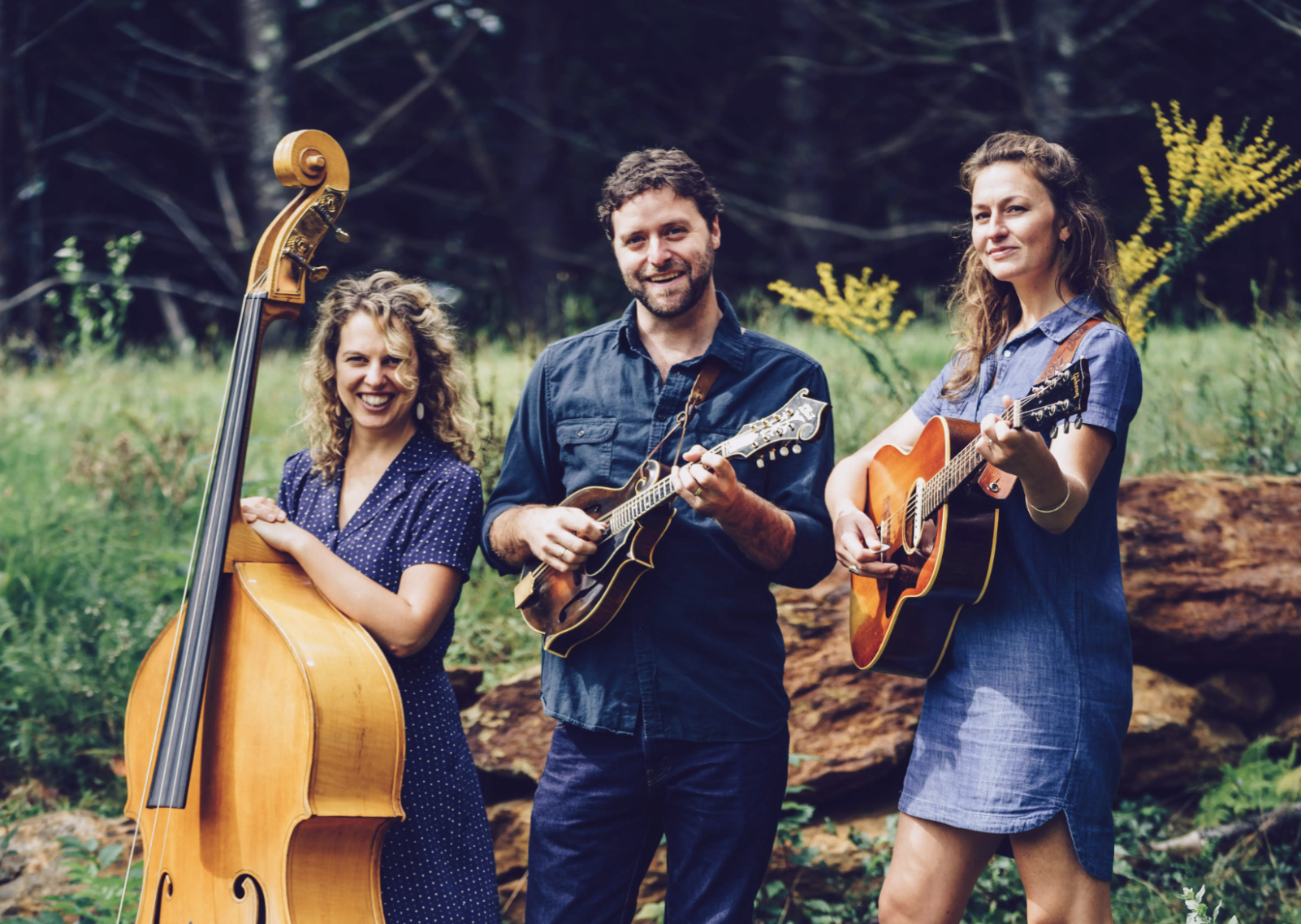 Old Hat Stringband