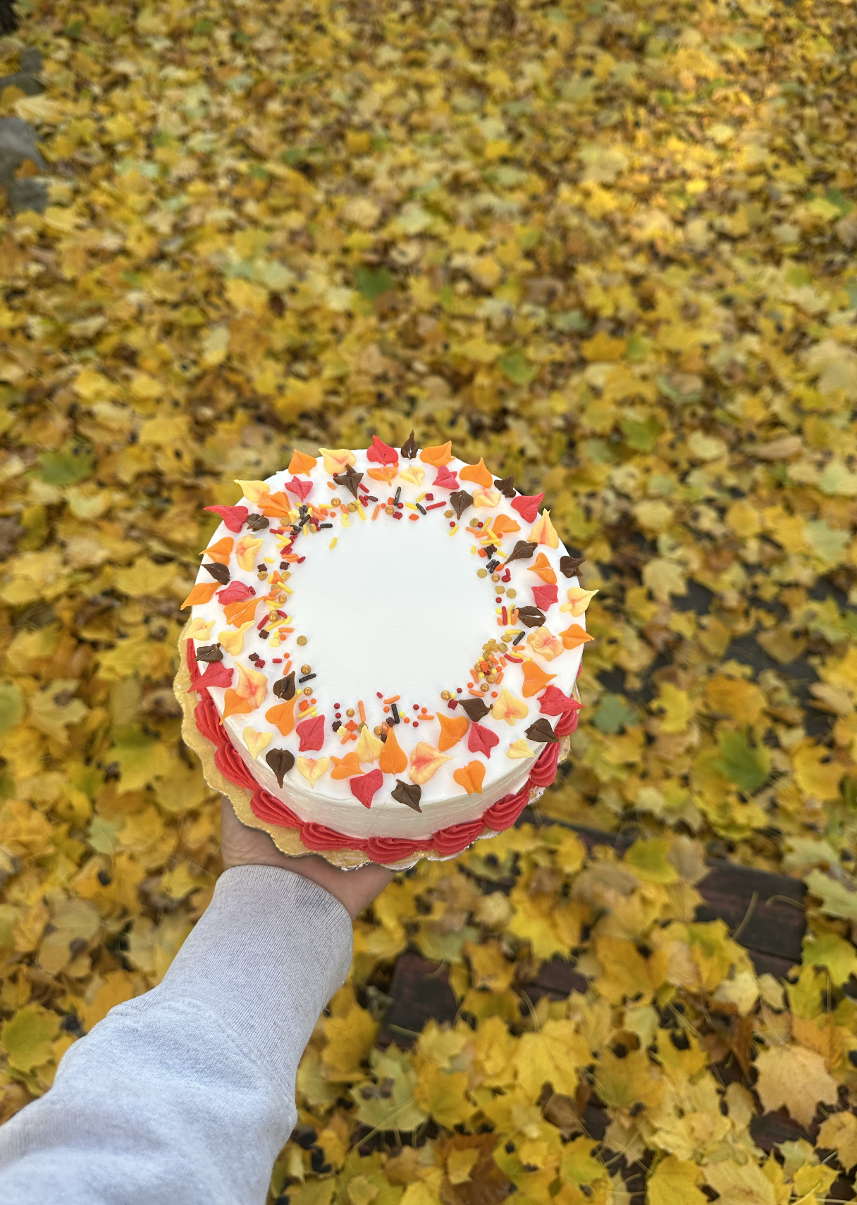 Person holding a decorated birthday cake with colorful sprinkles and heart-shaped decorations, against a background of yellow fallen autumn leaves.