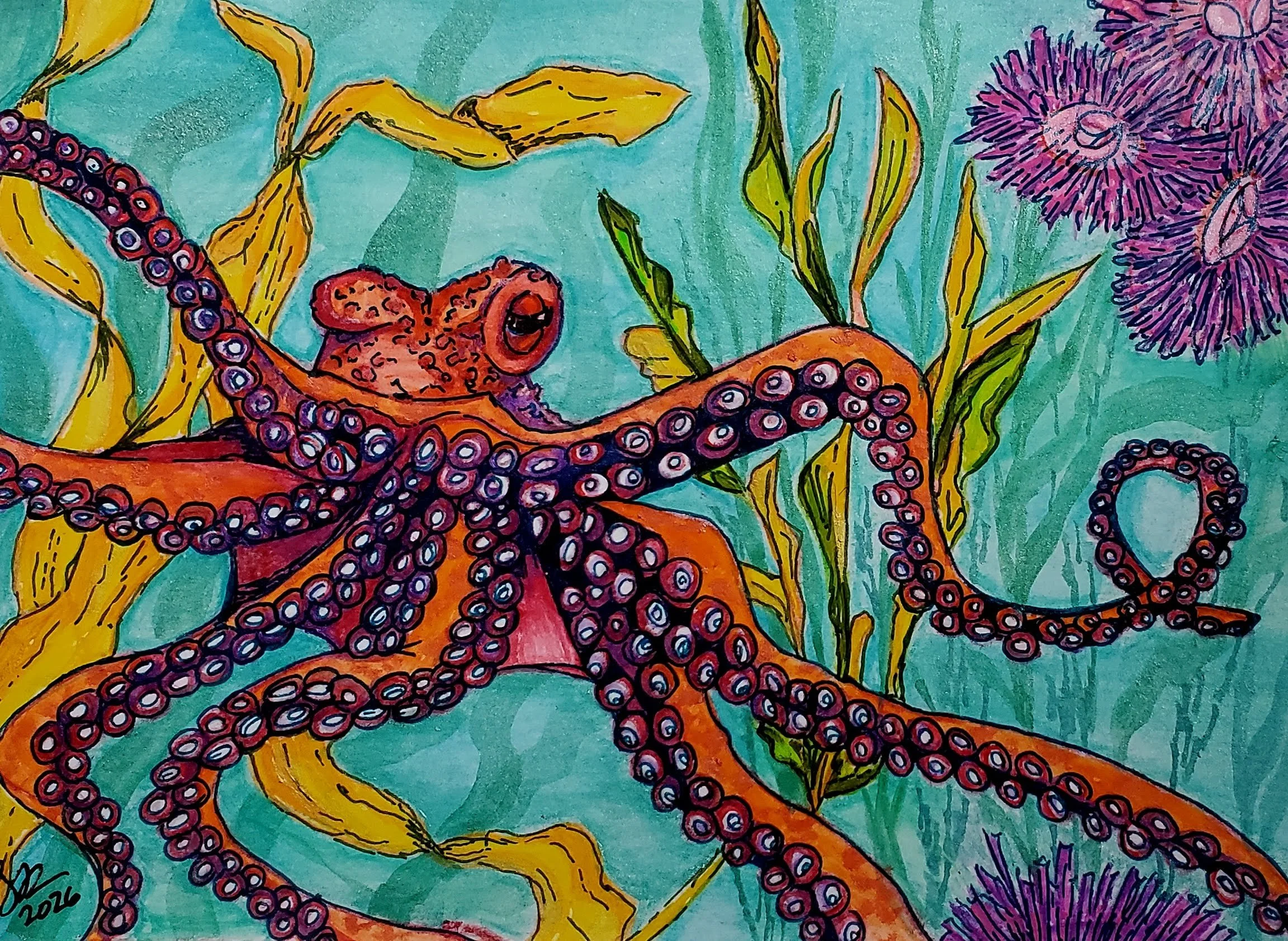 Pacific Northwest Giant Pacific octopus watercolor painting gouache painting colored pencil art and ink on paper artist Aubrey Redmon