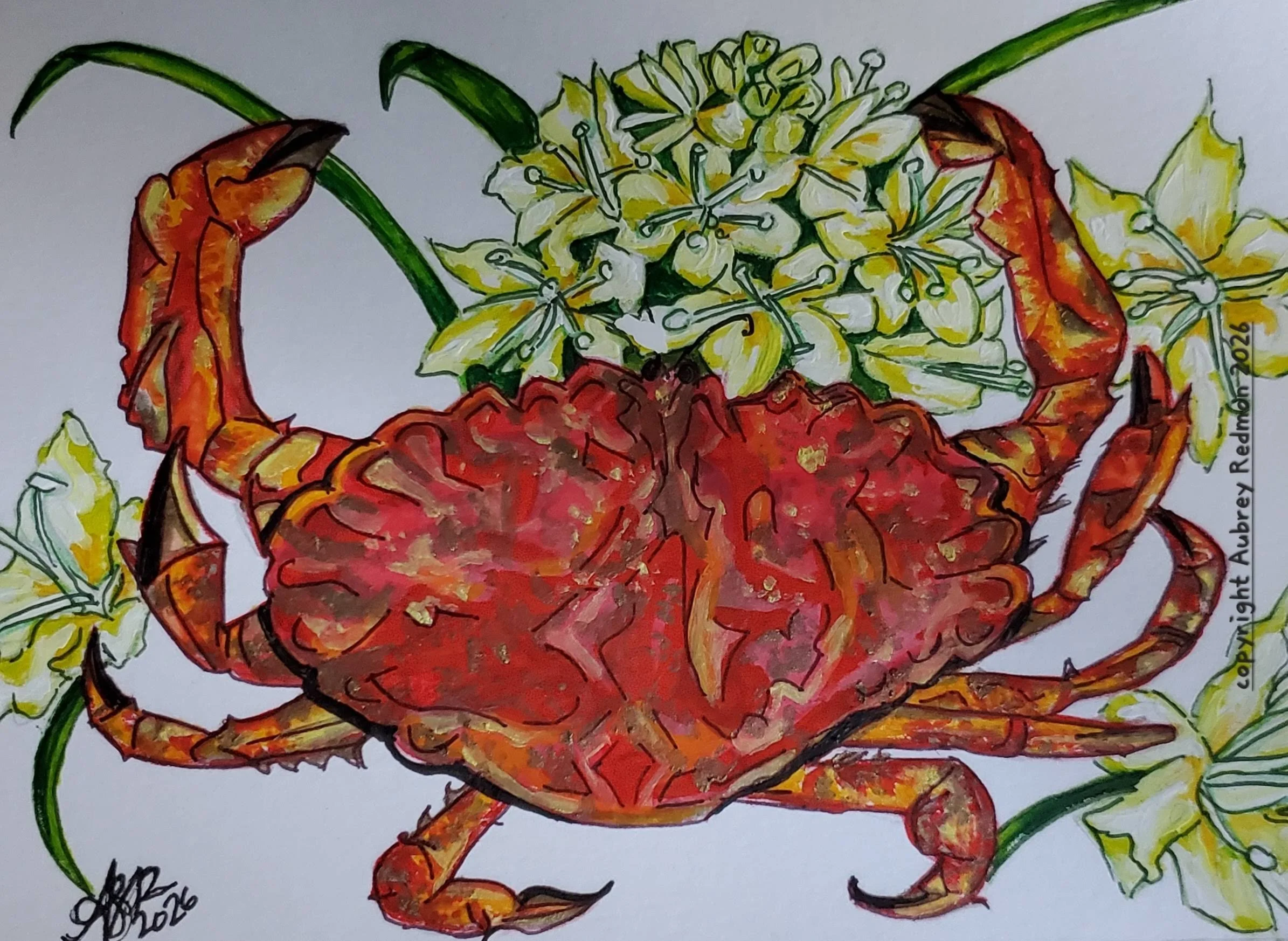 Pacific Northwest rock crab and meadow death camas wildflower watercolor painting  gouache painting and ink on paper by Bellingham artist Aubrey Redmon