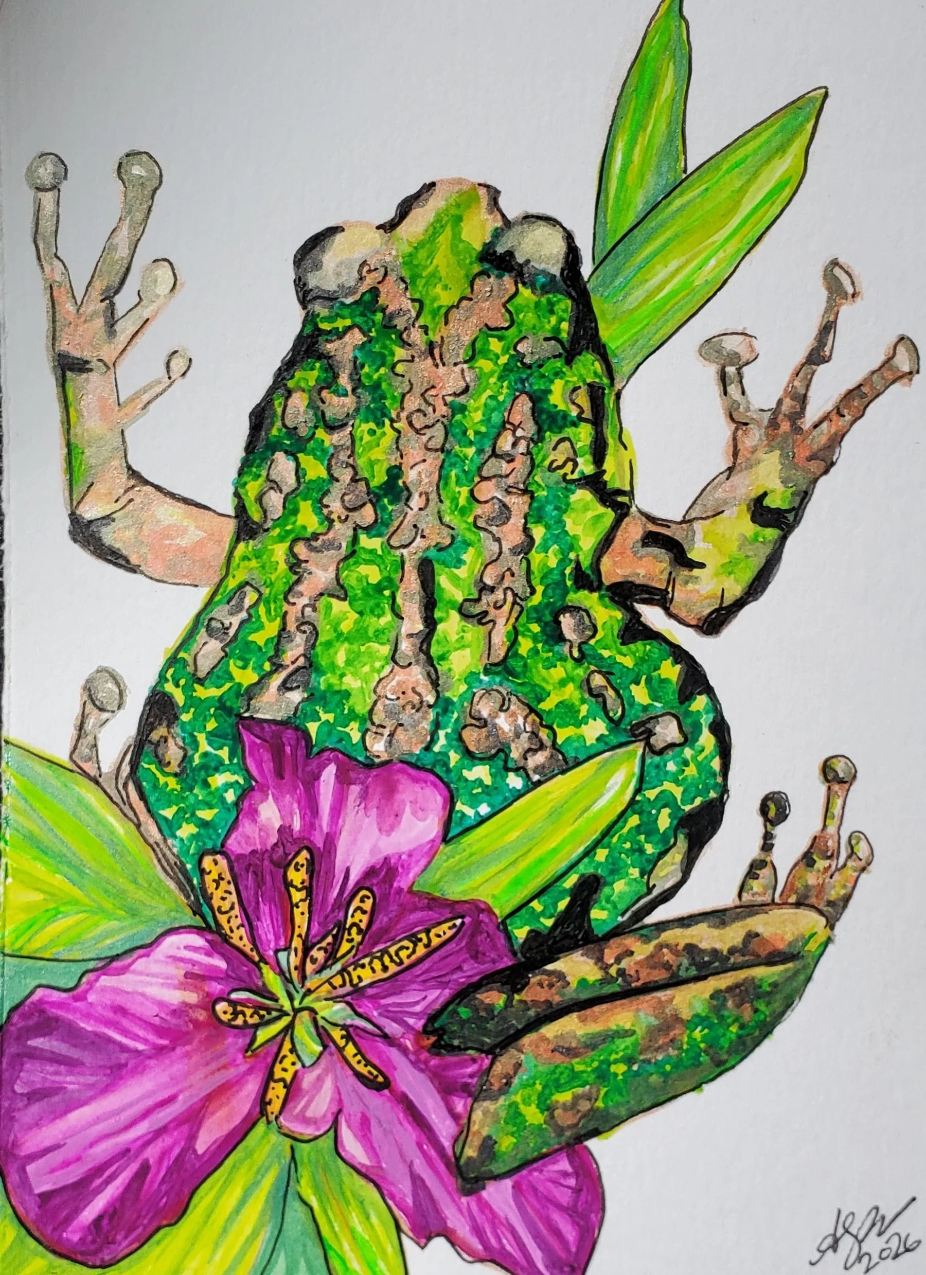 Pacific Northwest tree frog and trilium endangered wildflower watercolor painting by Bellingham artist Aubrey Redmon