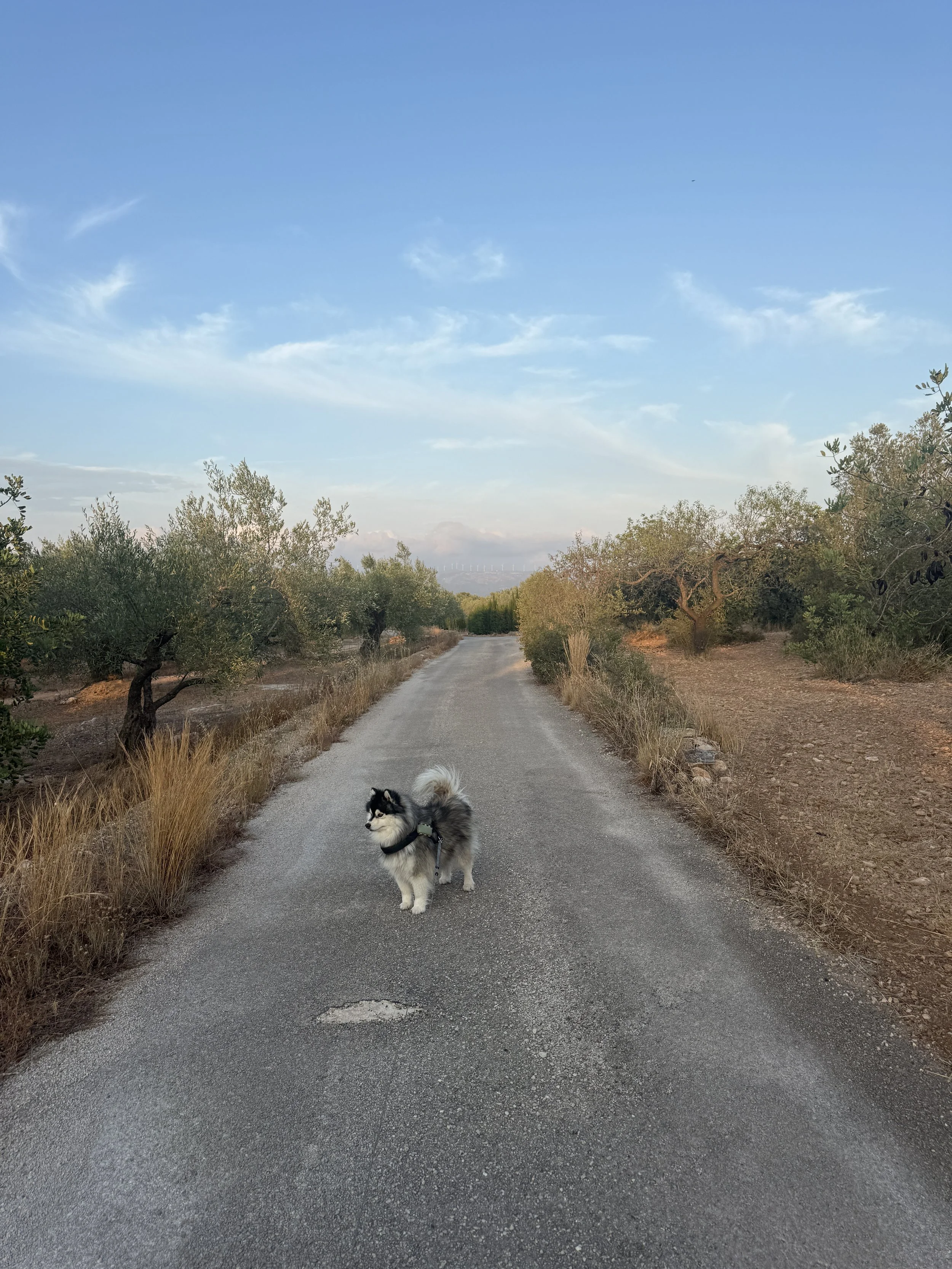 IMG_5618.jpeg