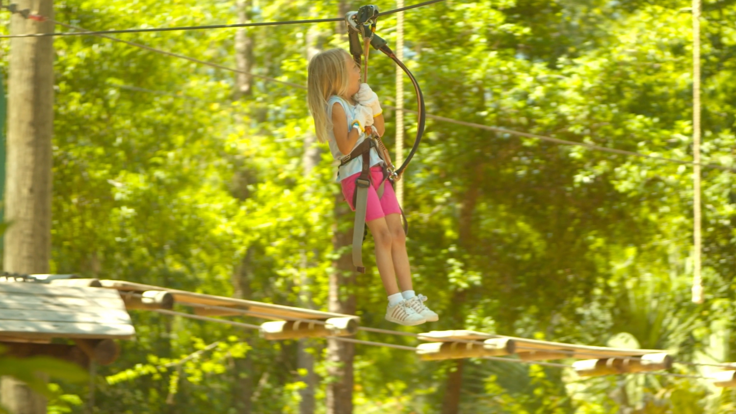 Orlando Tree Trek Spot