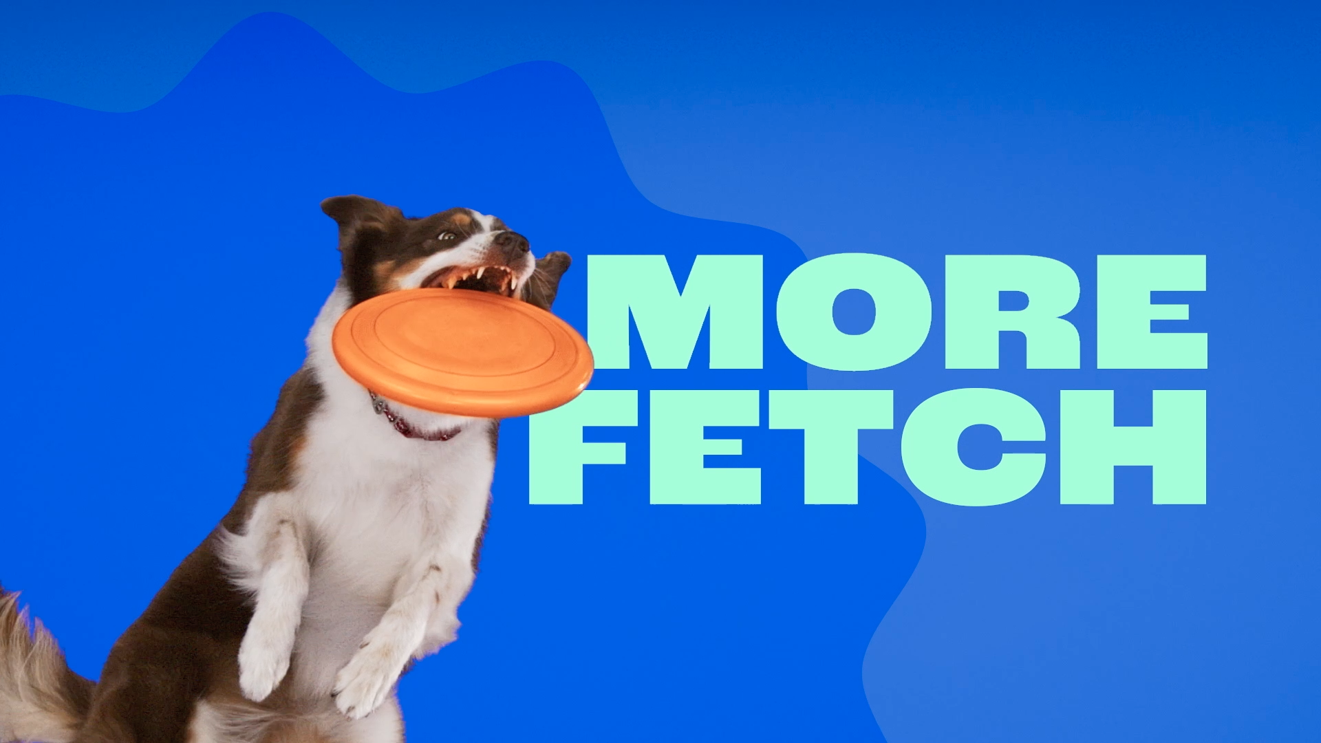 Get Real - Chewy / slow motion action