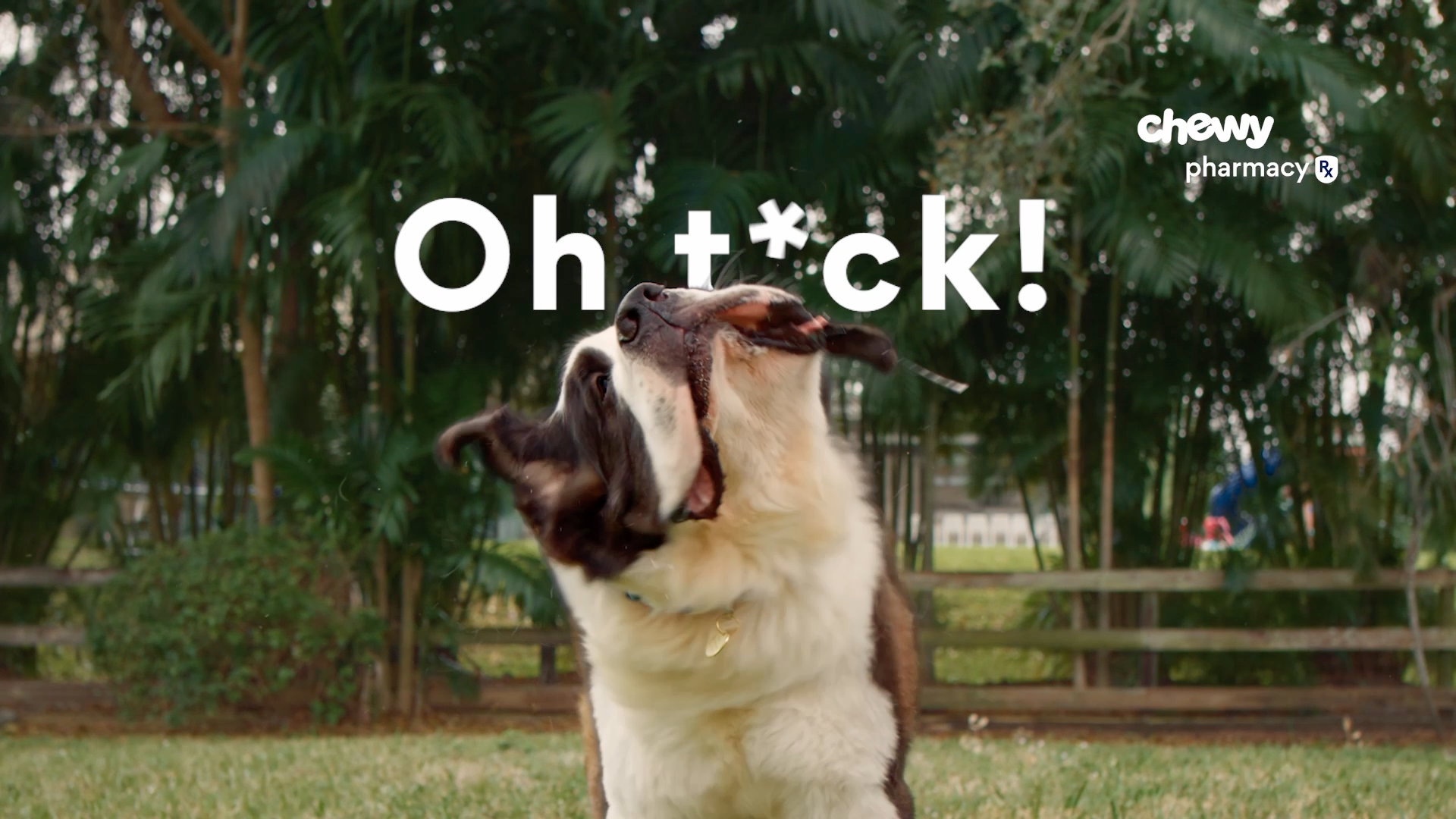 Flea and Tick - Pharmacy Campaign