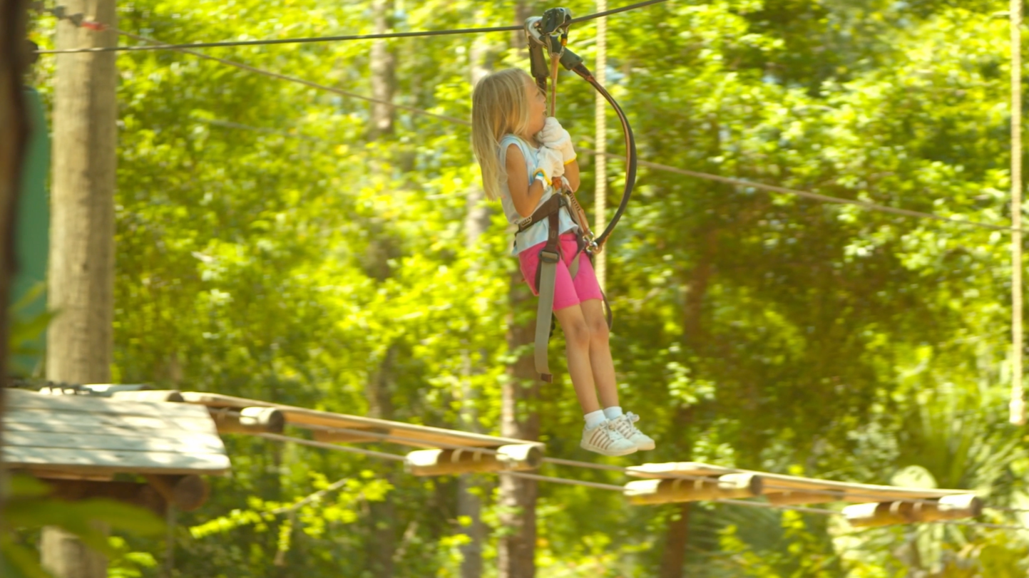 Orlando Tree Trek - Spot:
Creative Lead, Director of Photography, Editor.