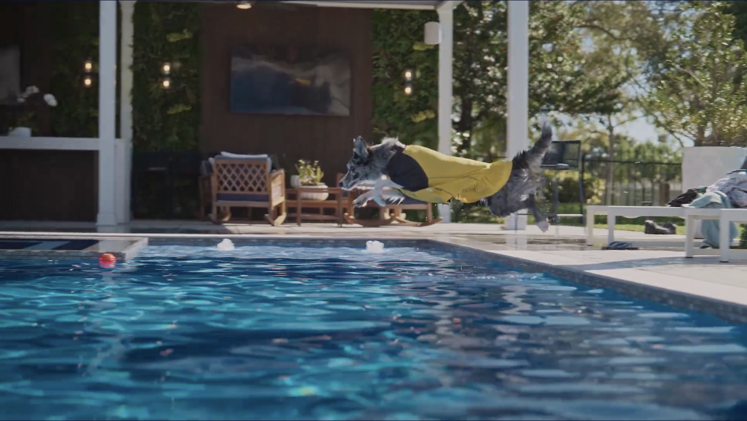 Summer SiteWide Spot x Chewy:
Director of Photography