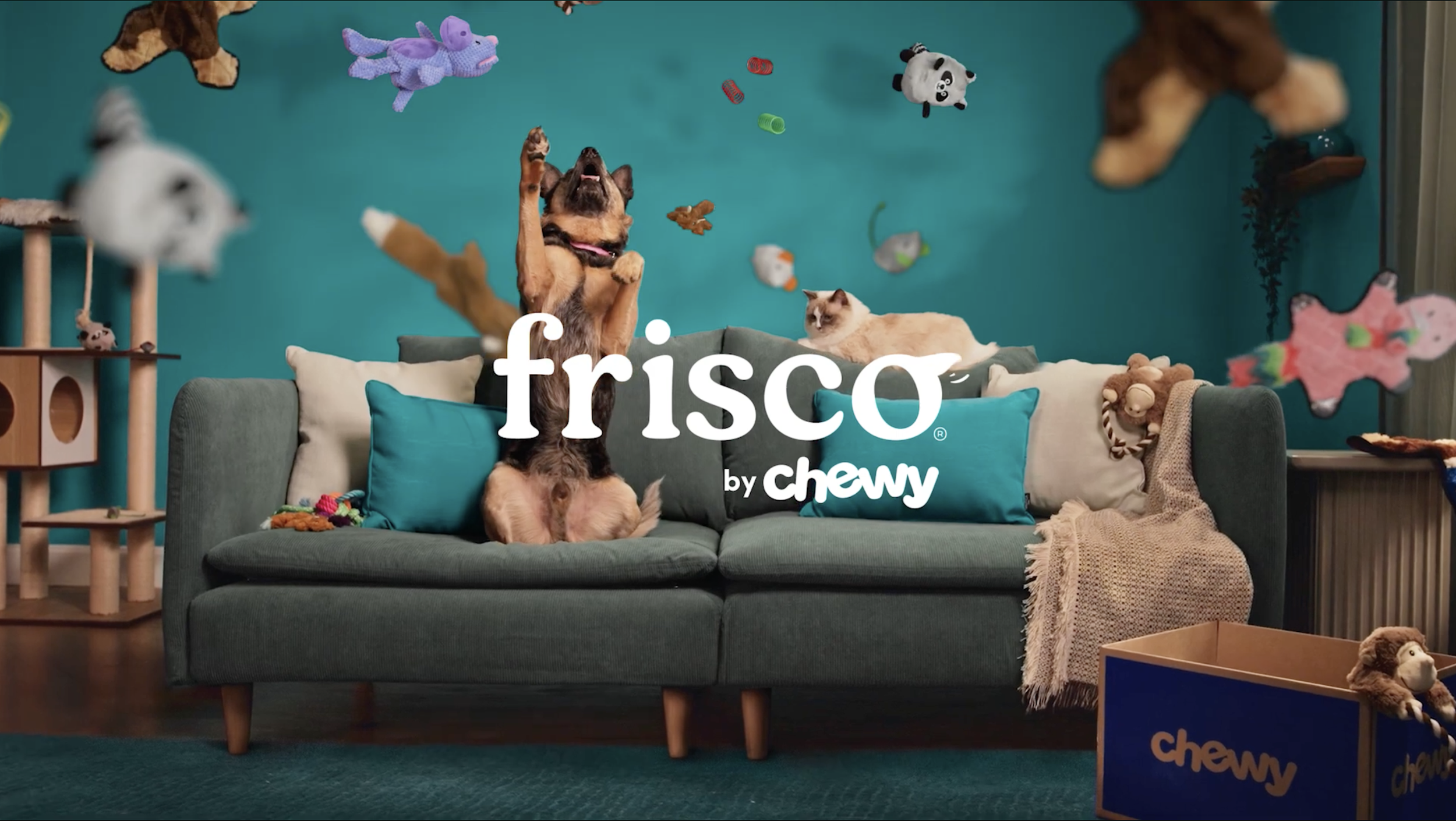 Frisco by Chewy:
Director of Photography