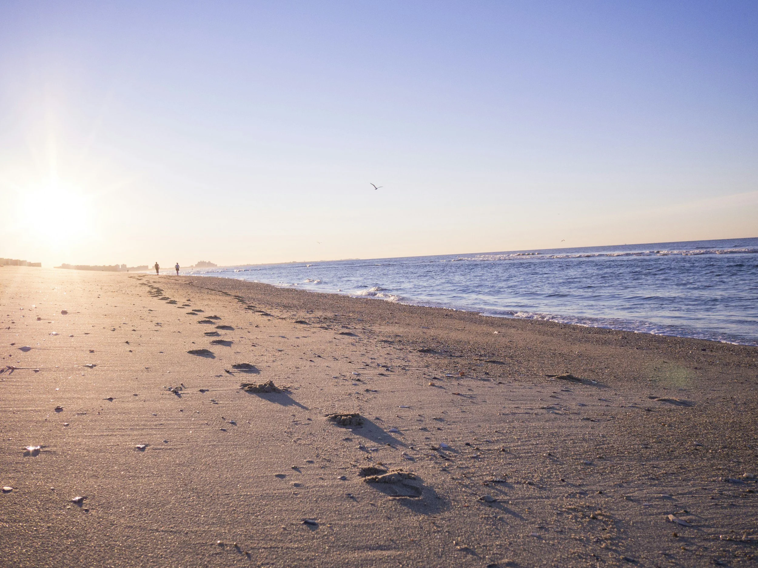 Trauma Therapy for Adults | PTSD & EMDR Counseling in Georgia | Routly Counseling