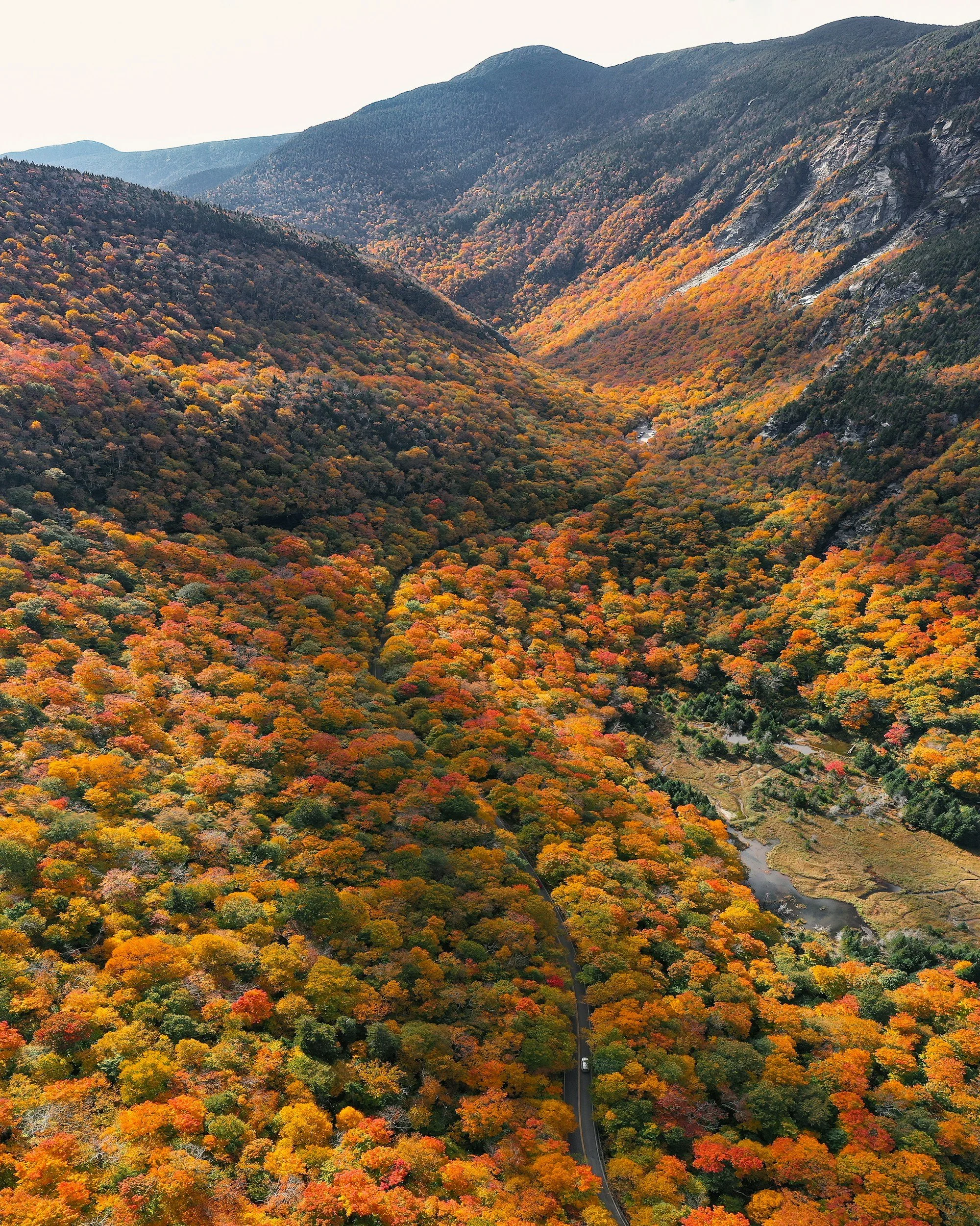 Online Therapy in Vermont | Trauma, Addiction & ADHD Therapy | Routly Counseling