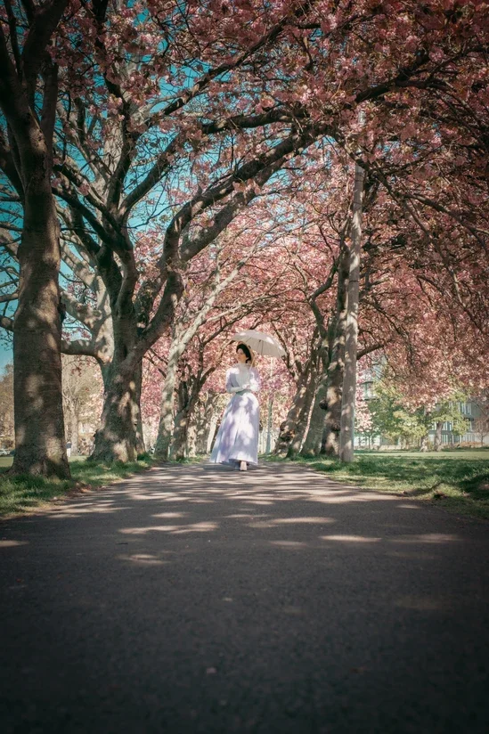 A woman dressed in a purple Edwardian walking ensemble holding a parasol walking through a tree-lined park with blooming pink flowers.