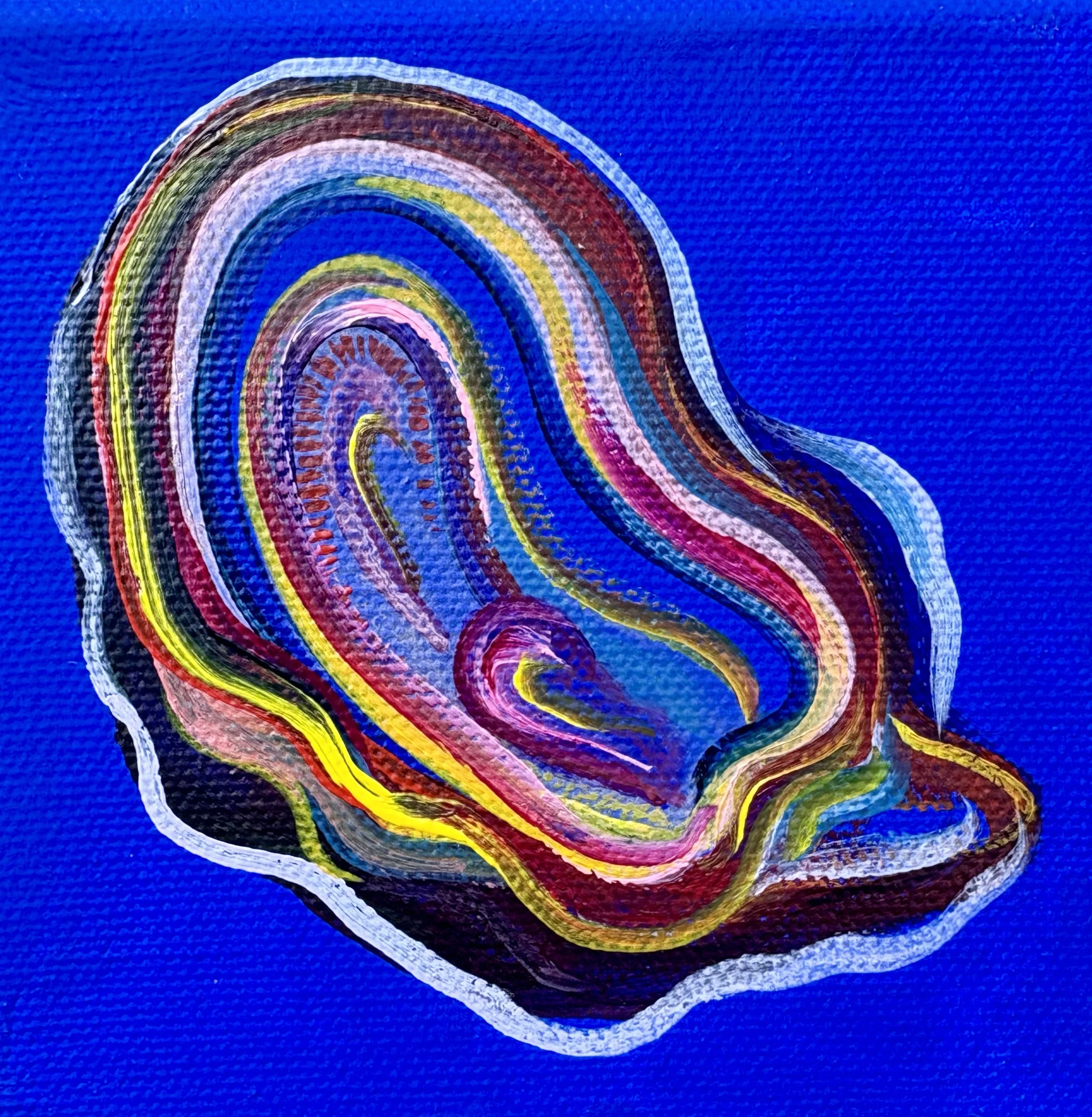 Oyster No. 25