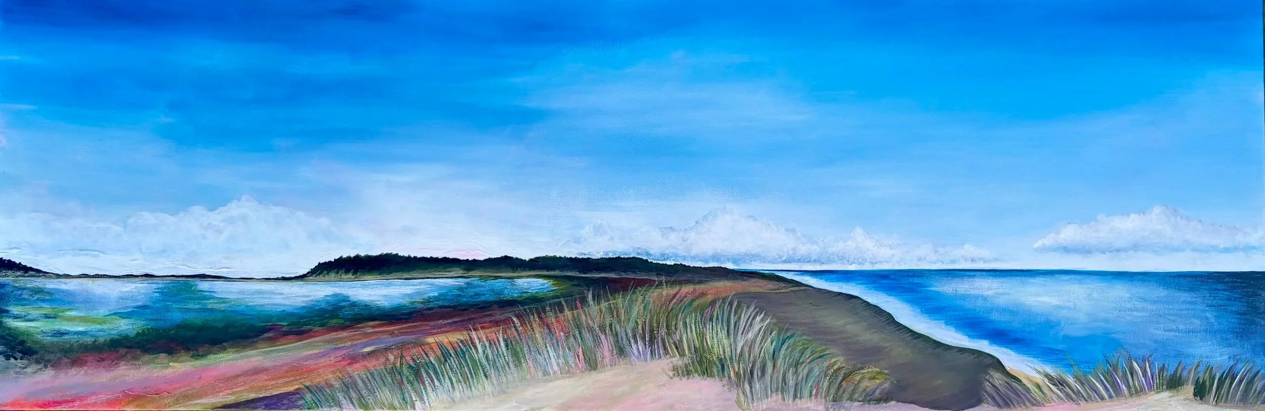Great Island in Spring