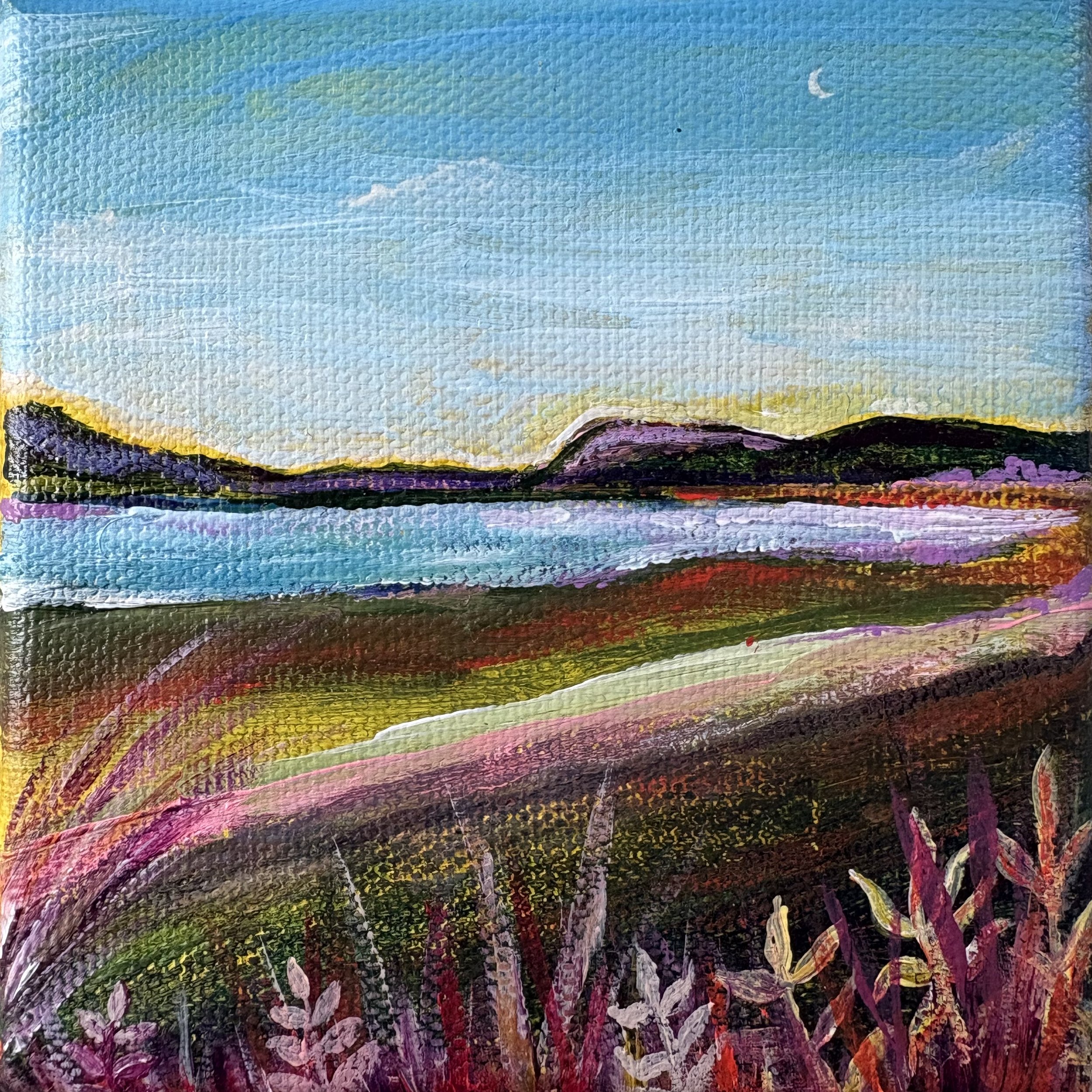 Great Island Grasses