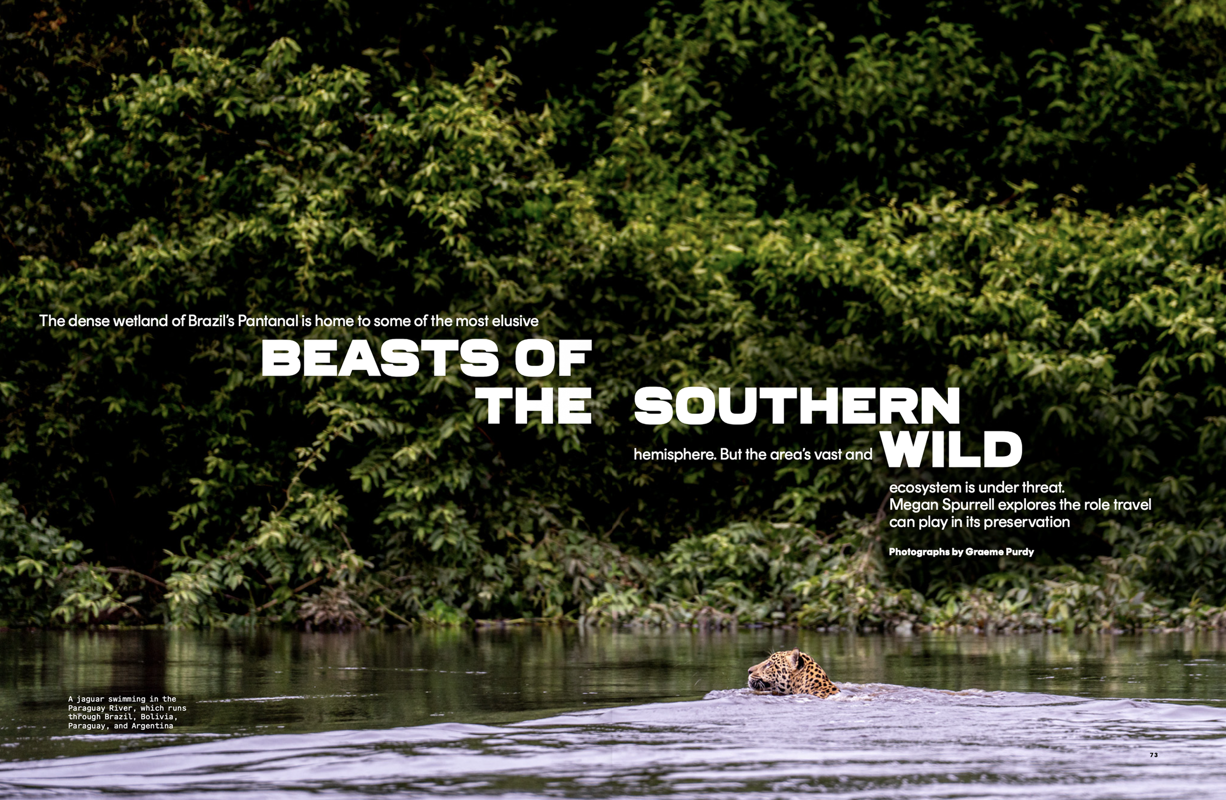 beasts.1.png